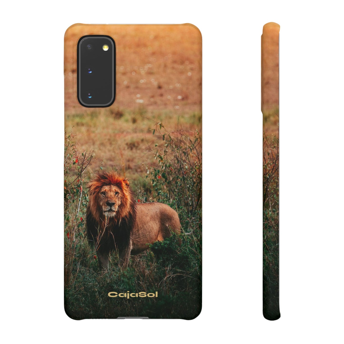Majestic Lion Cajasol - Nature Inspired