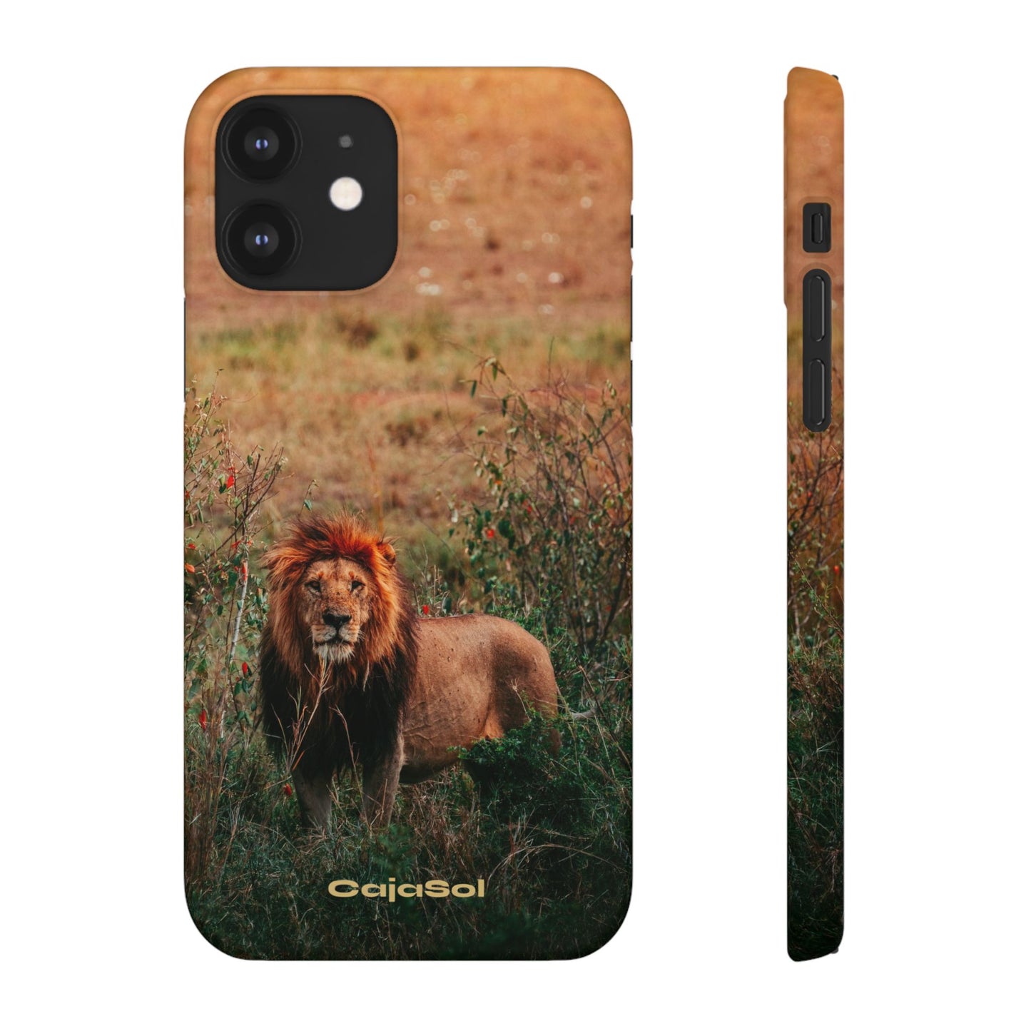Majestic Lion Cajasol - Nature Inspired