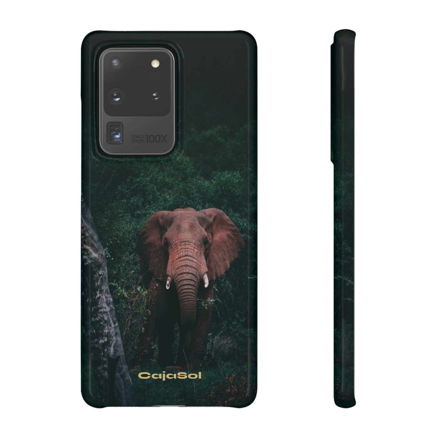 Wildlife Lover's Cajasol - Majestic Elephant