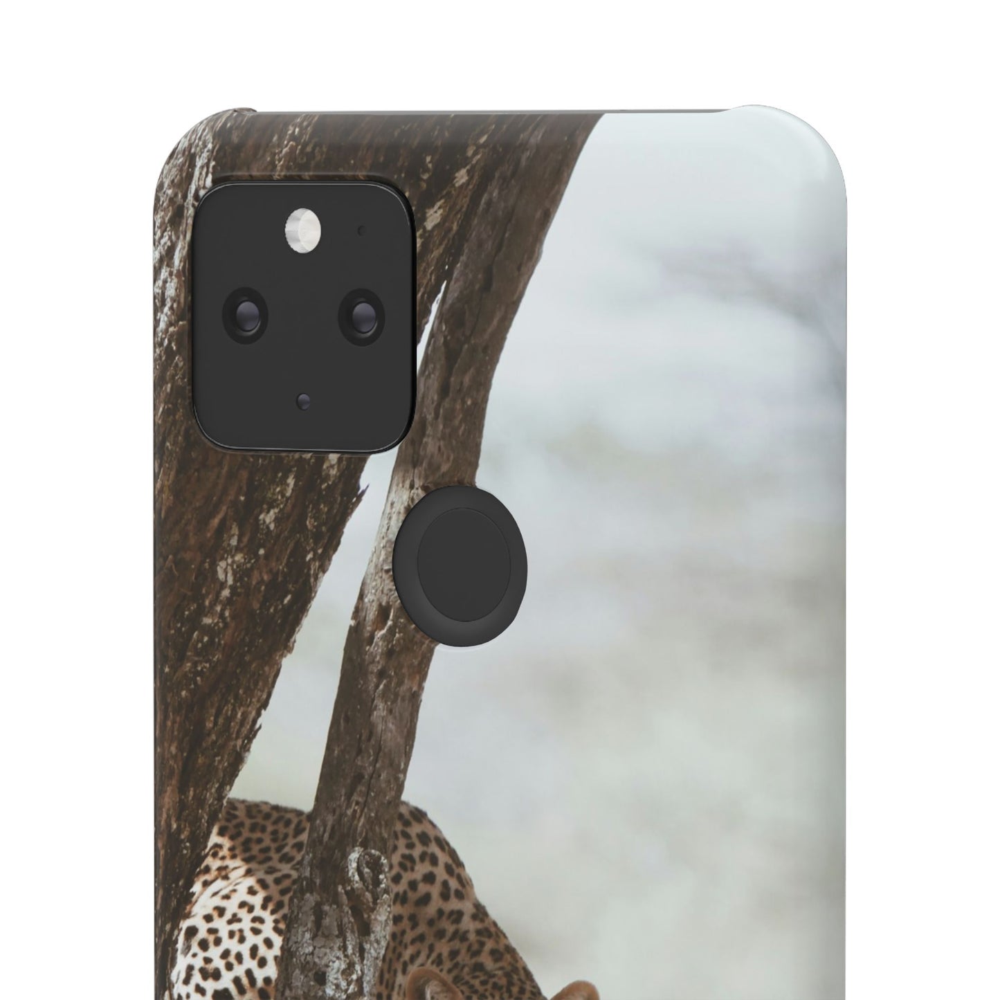 Leopard Cajasol - Wildlife Vibes