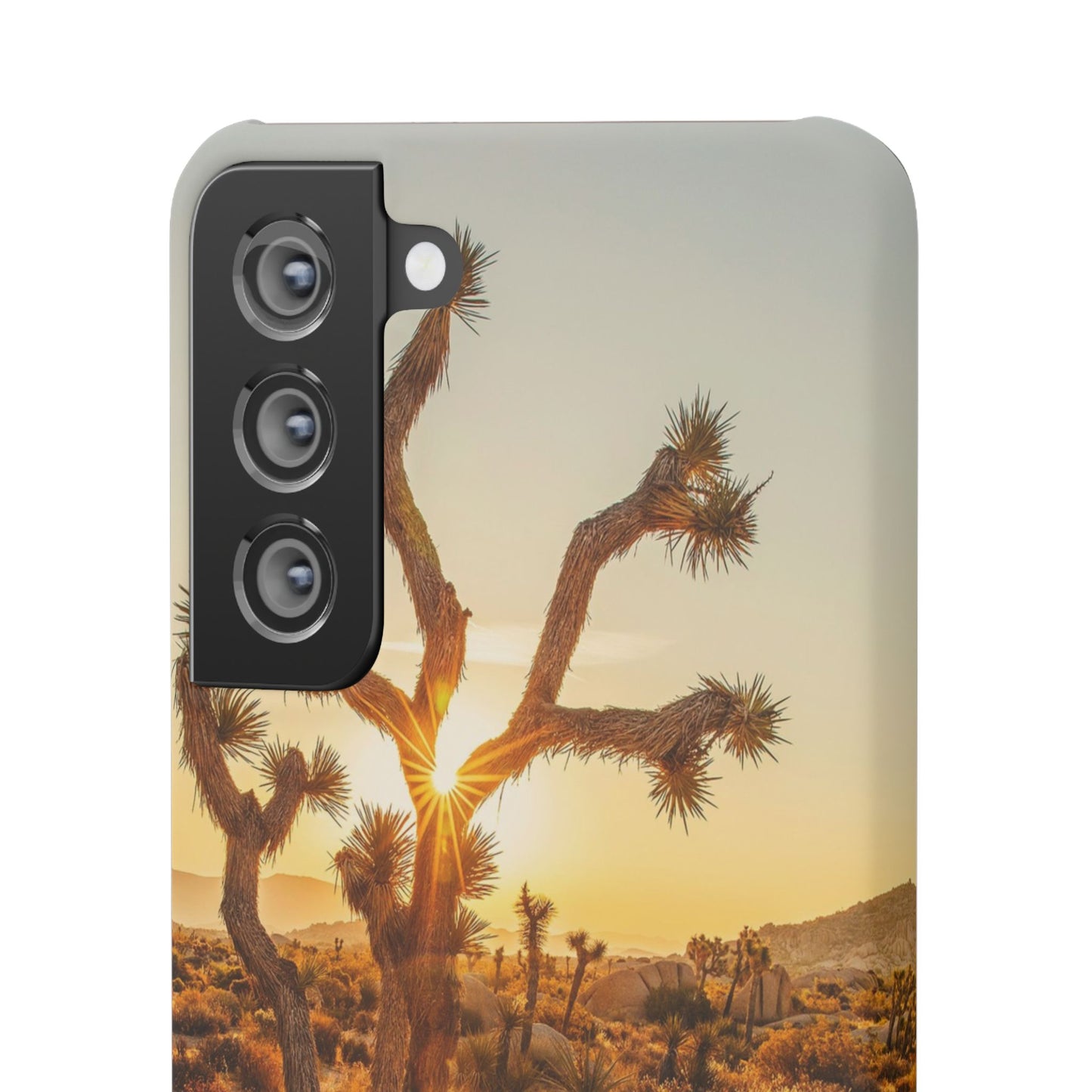 Desert Sunset Cajasol - Stylish Protection for Nature Lovers