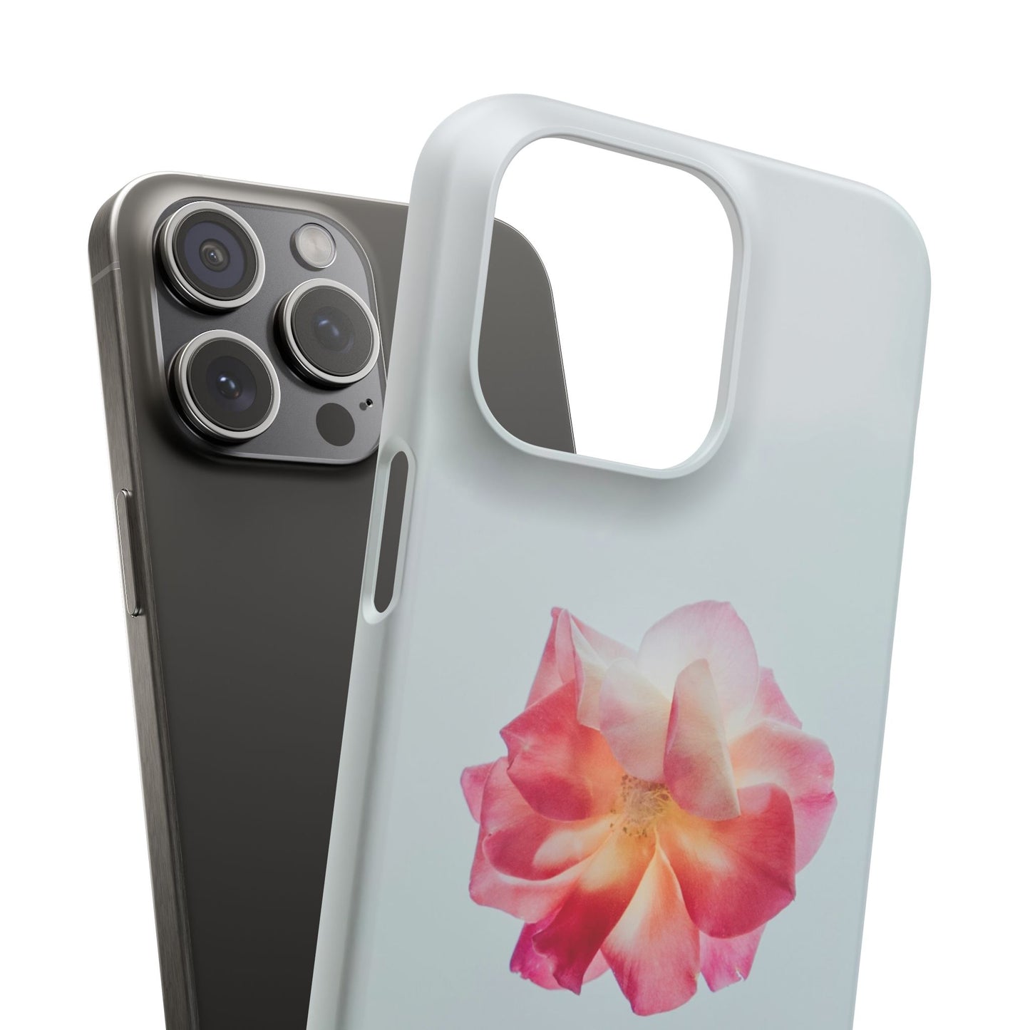Floral Cajasol - Elegant Pink Flower