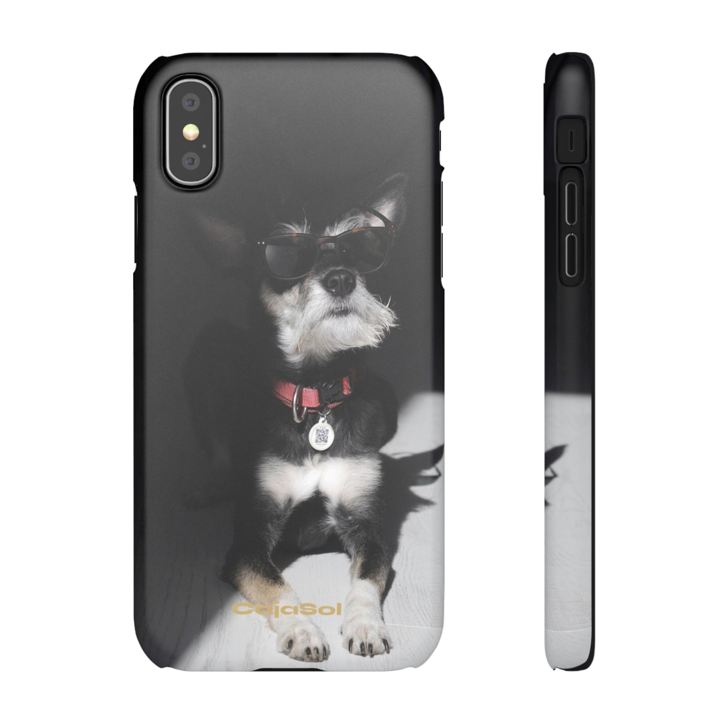 Cool Dog Cajasol - Stylish Pet