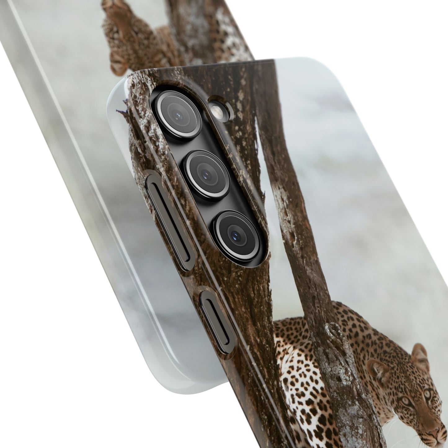 Leopard Cajasol - Wildlife Vibes