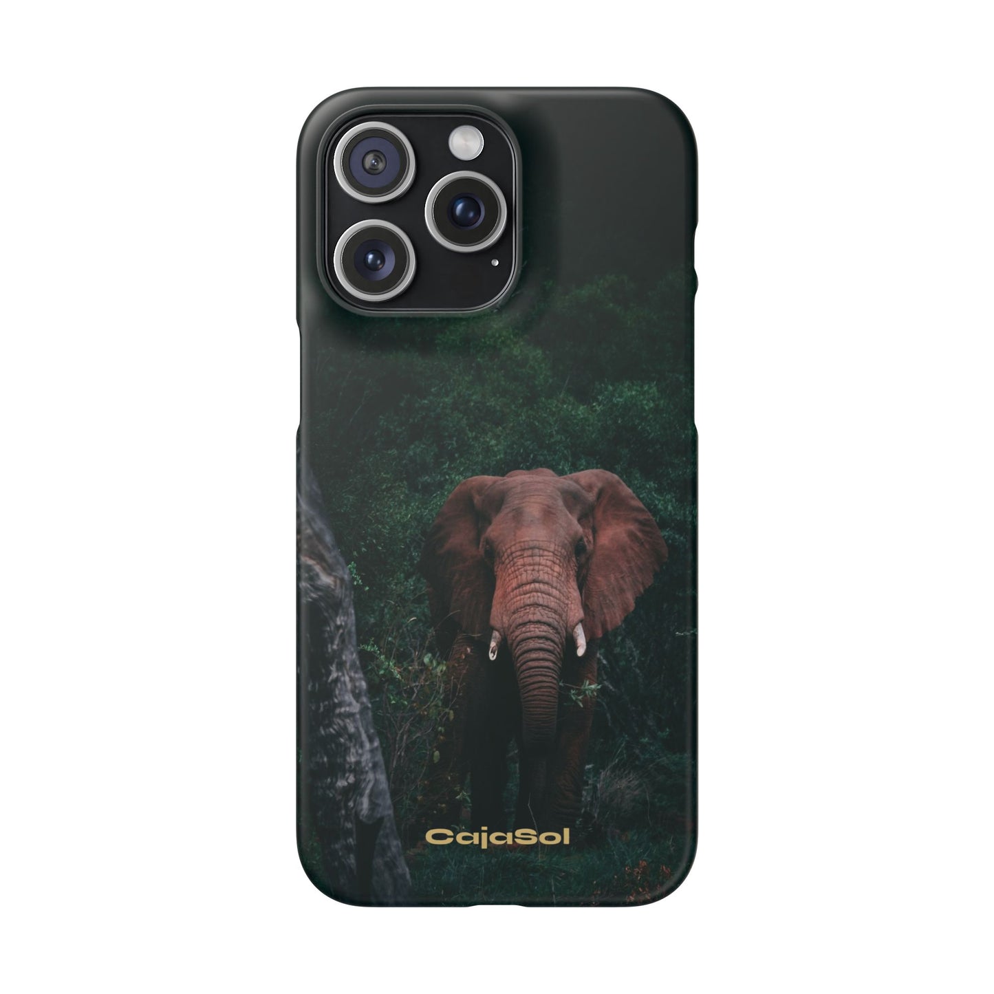 Wildlife Lover's Cajasol - Majestic Elephant