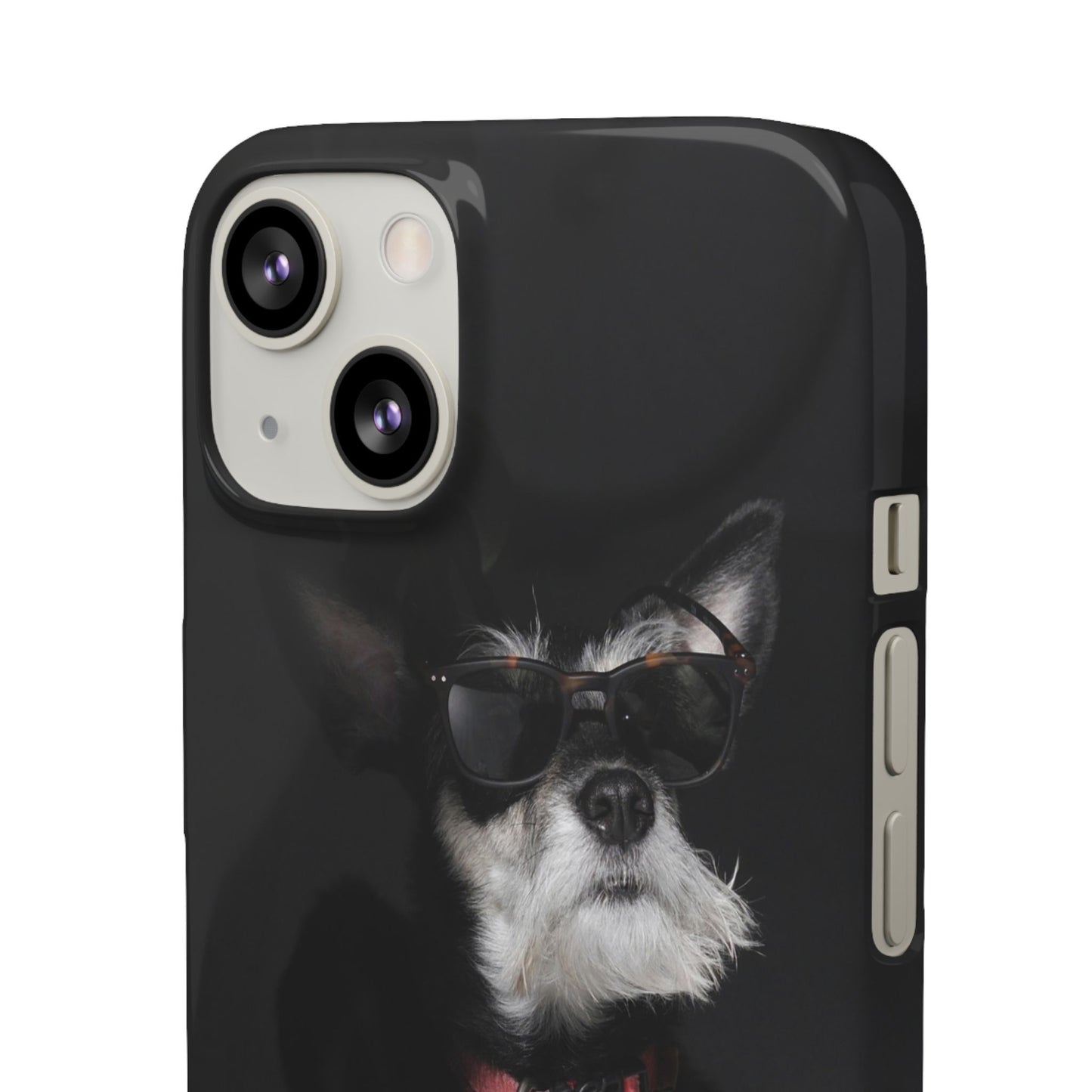 Cool Dog Cajasol - Stylish Pet