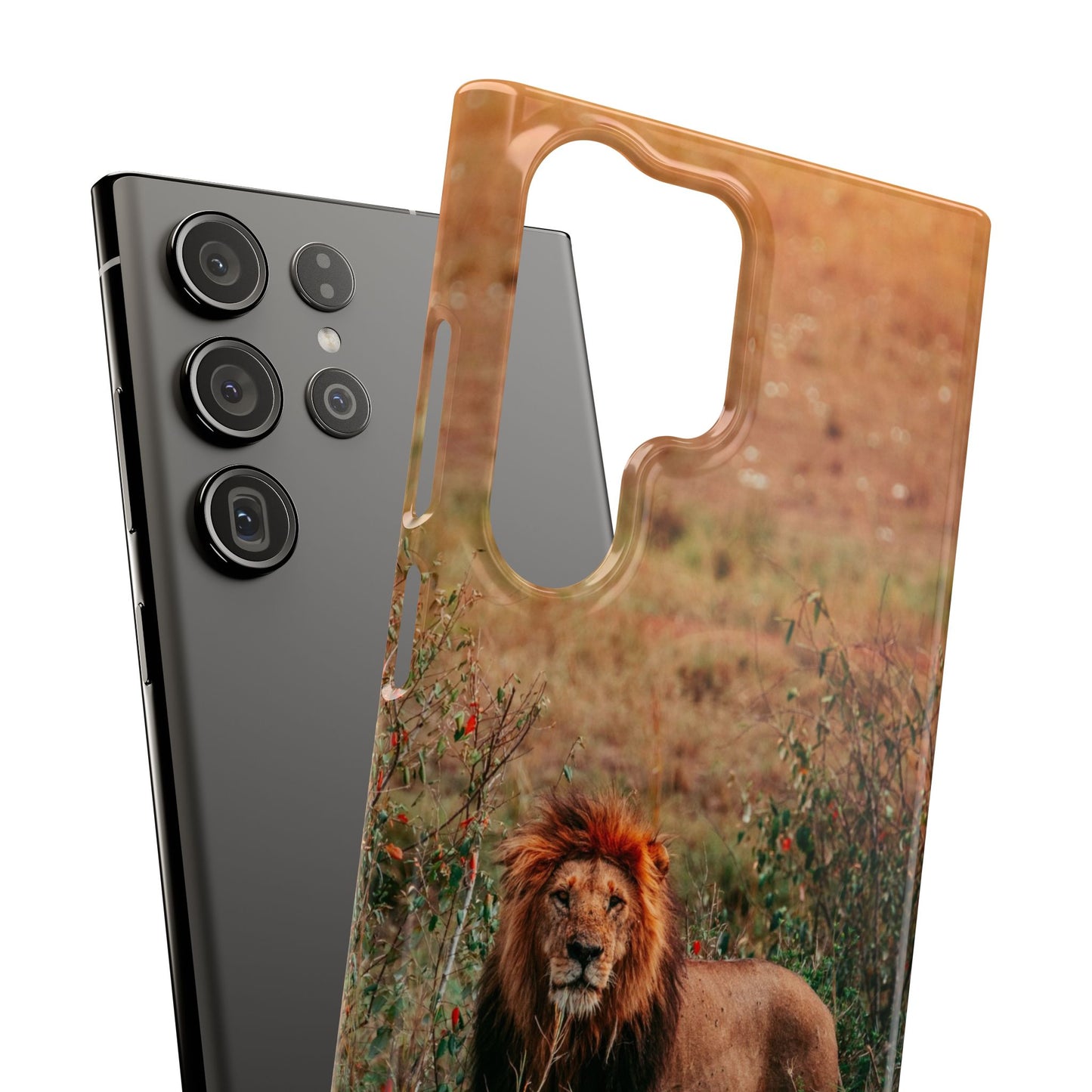 Majestic Lion Cajasol - Nature Inspired