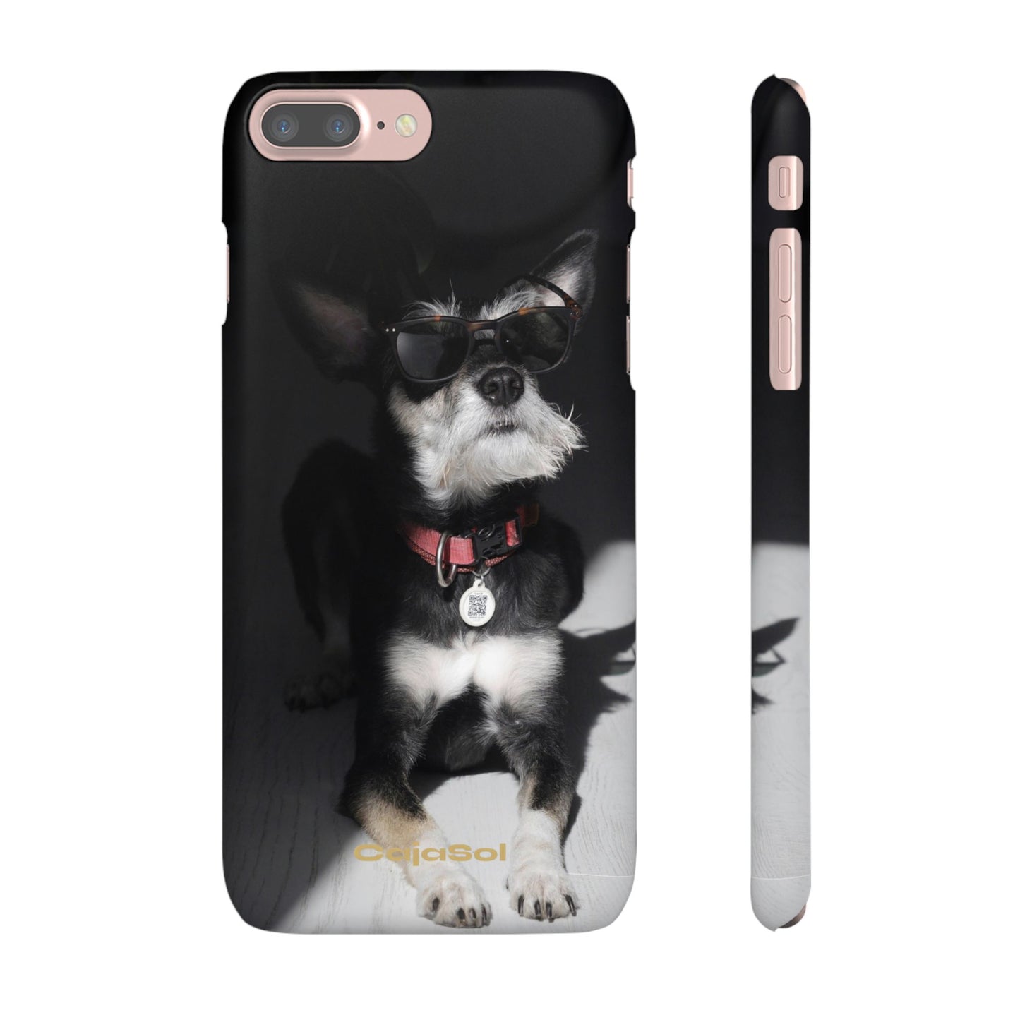 Cool Dog Cajasol - Stylish Pet