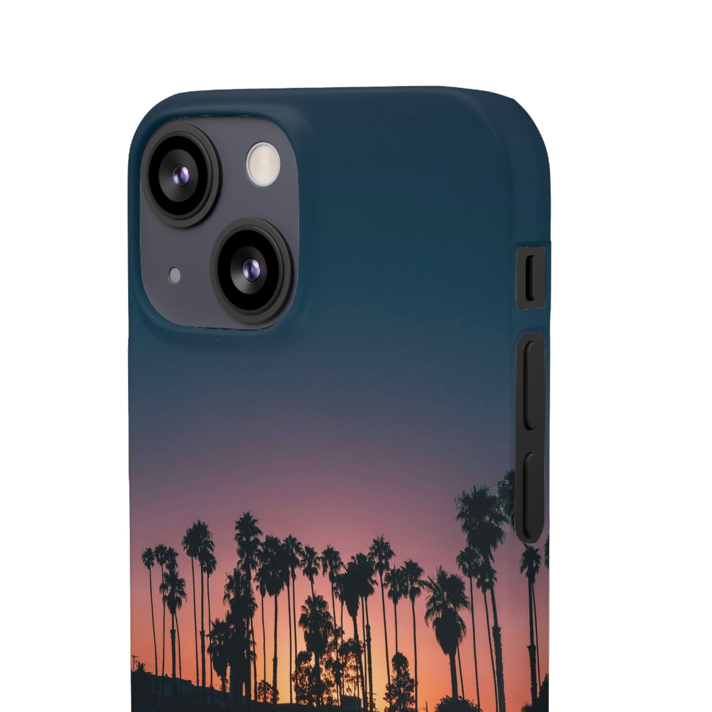 Tropical Sunset Cajasol - Vibrant Palm Tree