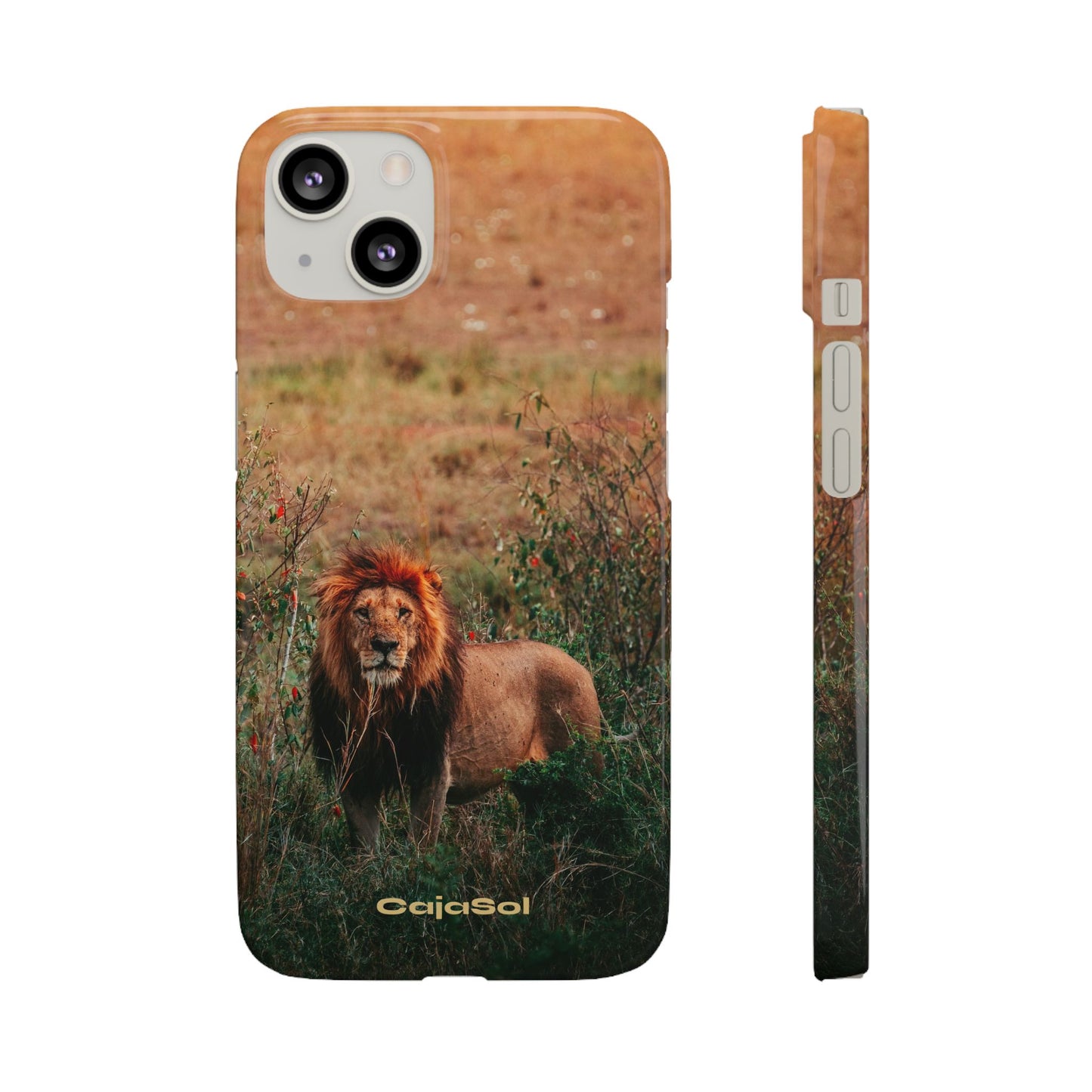 Majestic Lion Cajasol - Nature Inspired