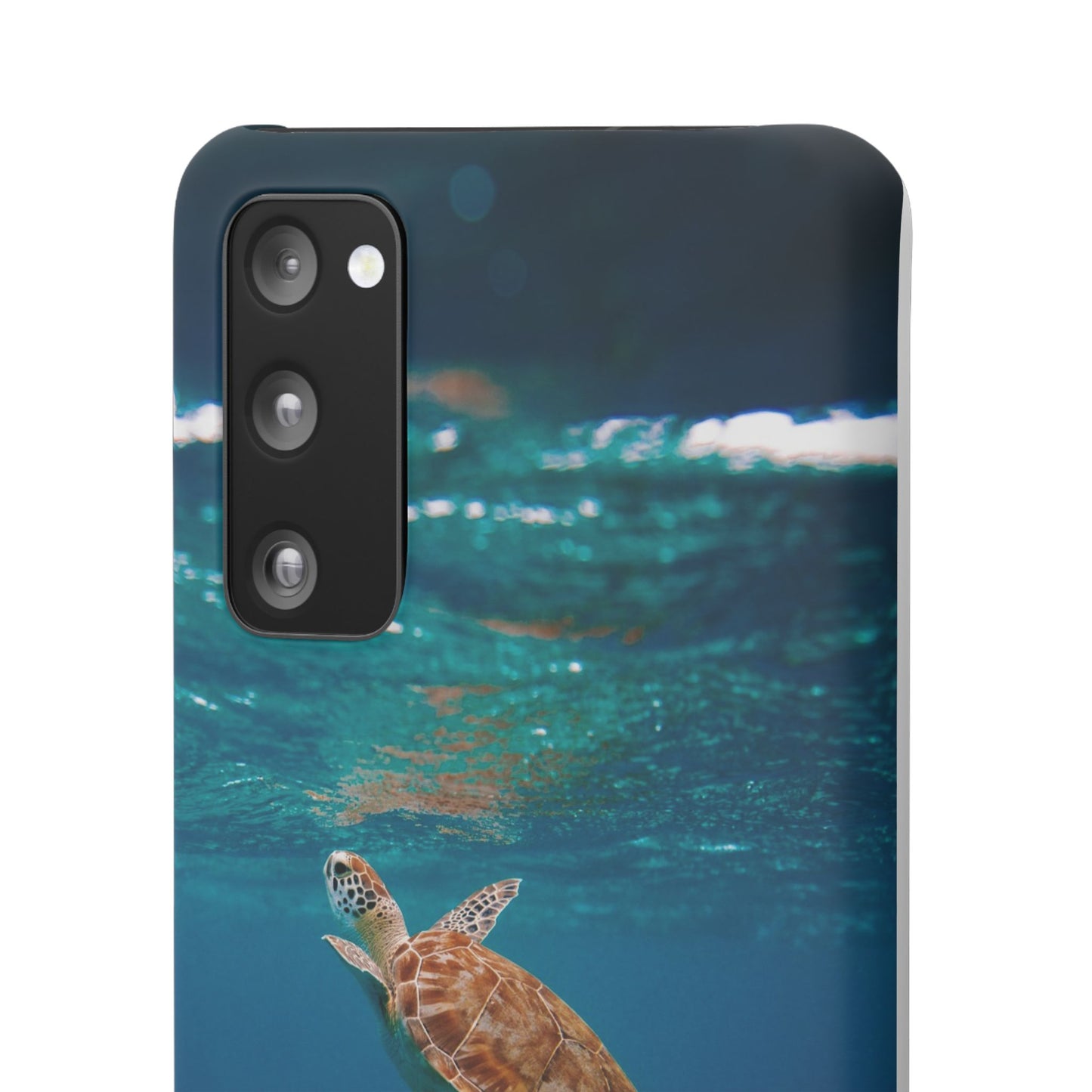 Sea Turtle Cajasol - Perfect for Beach Lovers