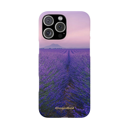 Lavender Fields Cajasol - A Floral Touch for Nature Lovers