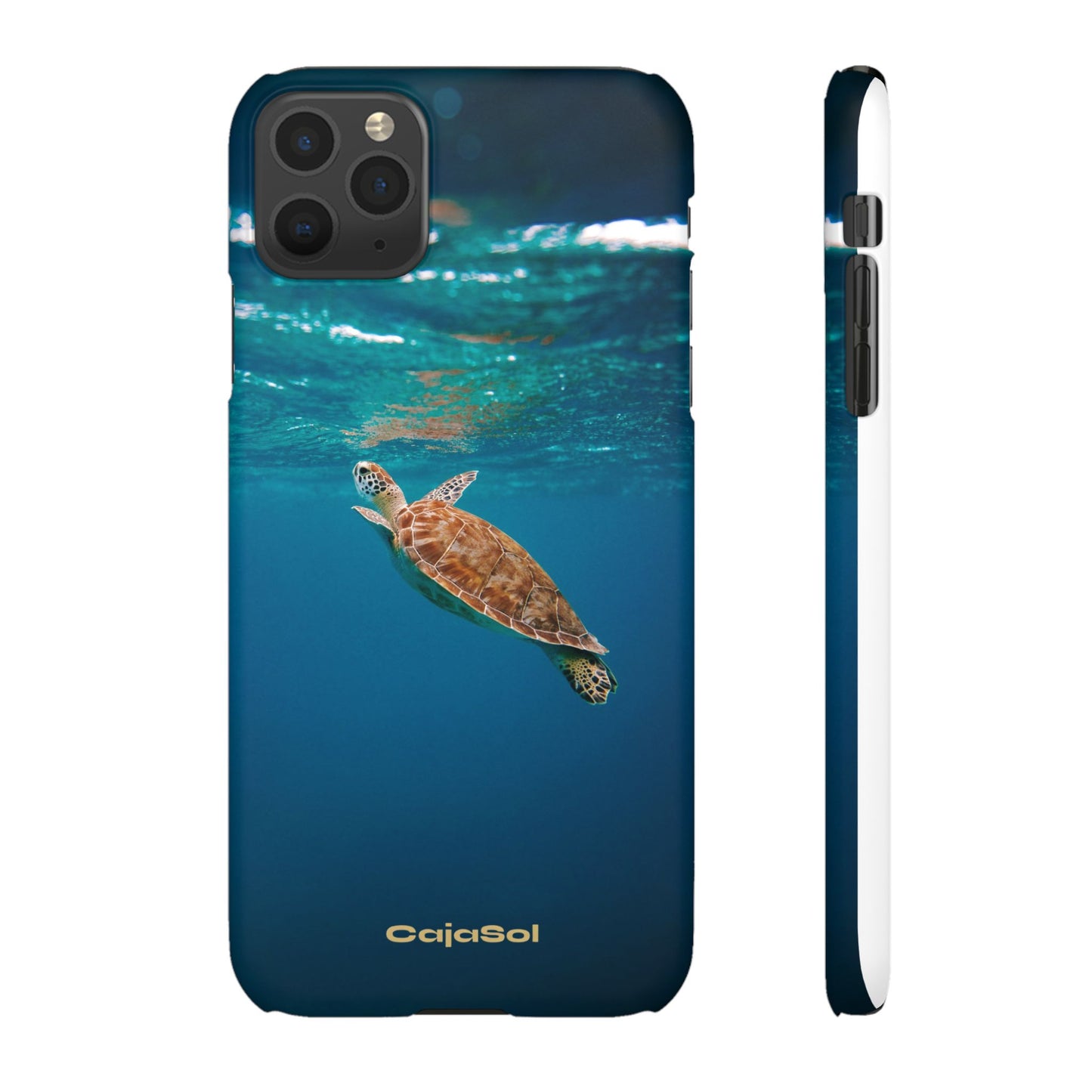 Sea Turtle Cajasol - Perfect for Beach Lovers