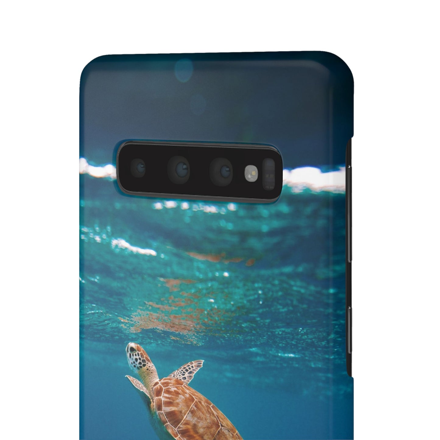 Sea Turtle Cajasol - Perfect for Beach Lovers