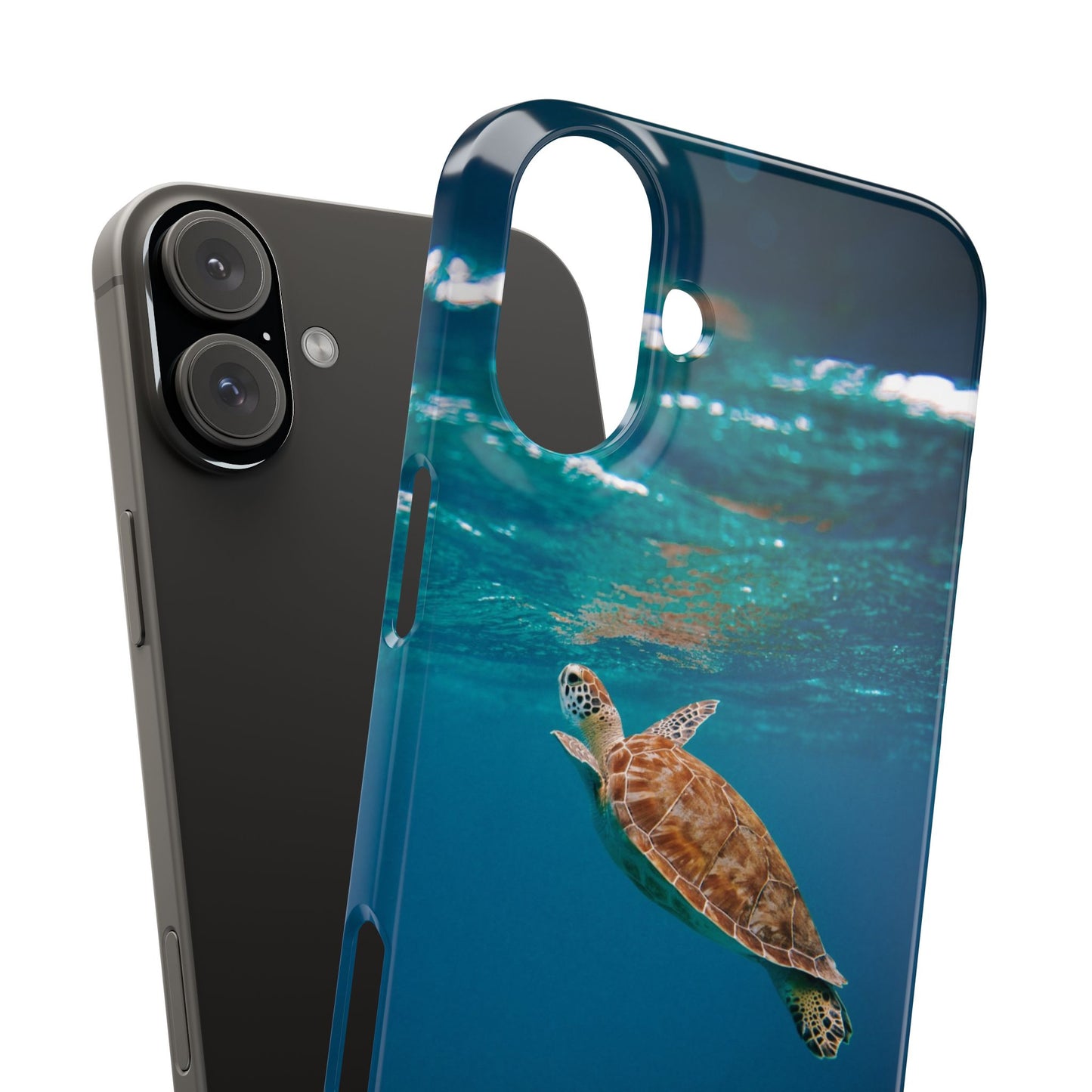 Sea Turtle Cajasol - Perfect for Beach Lovers