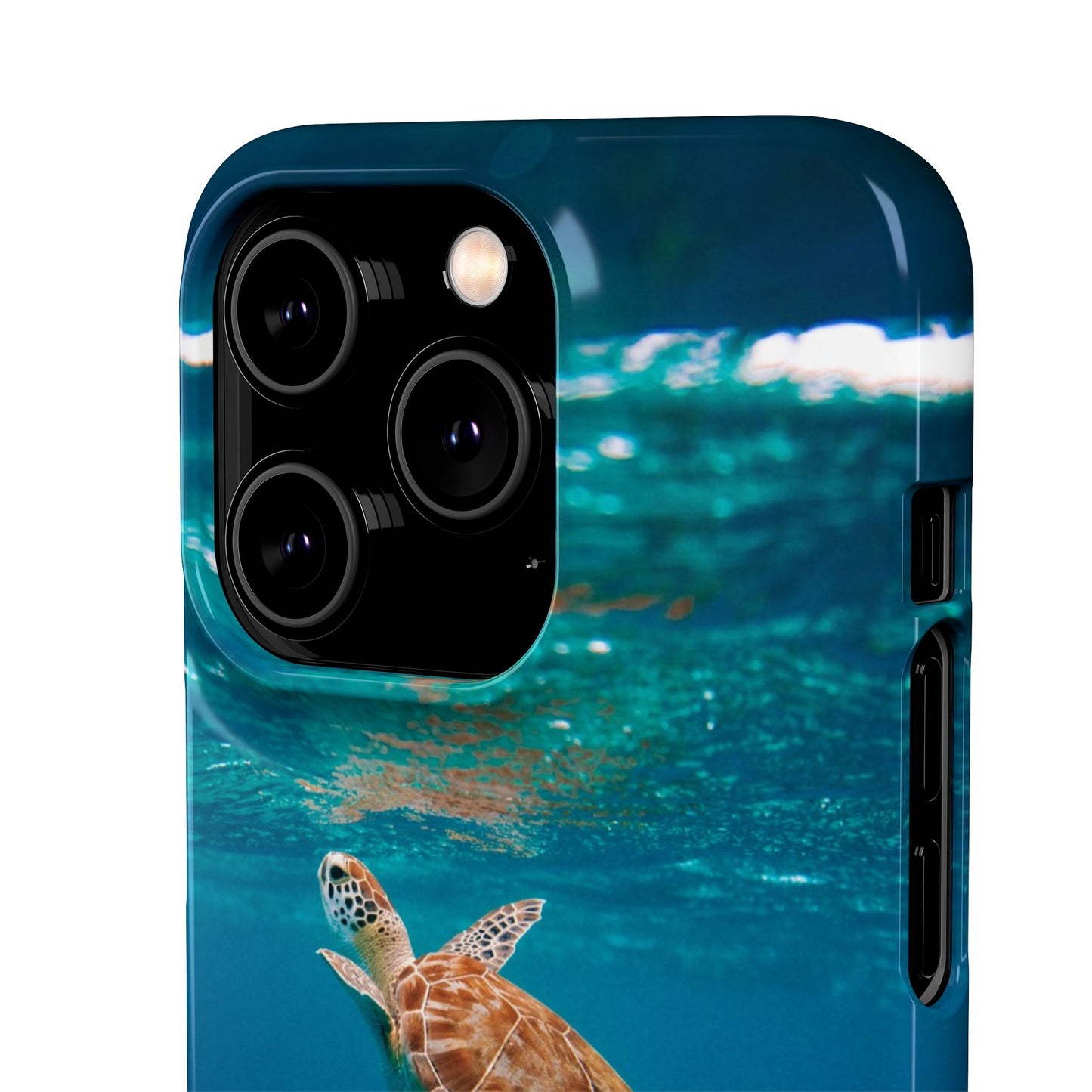 Sea Turtle Cajasol - Perfect for Beach Lovers