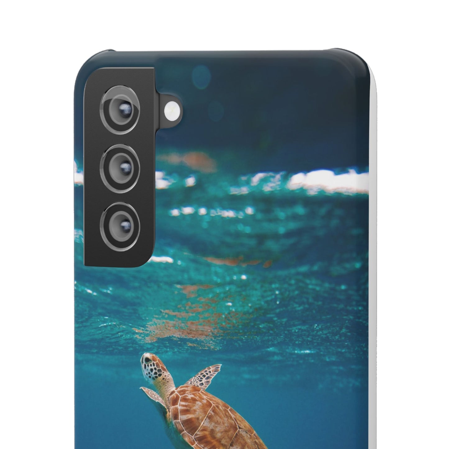 Sea Turtle Cajasol - Perfect for Beach Lovers
