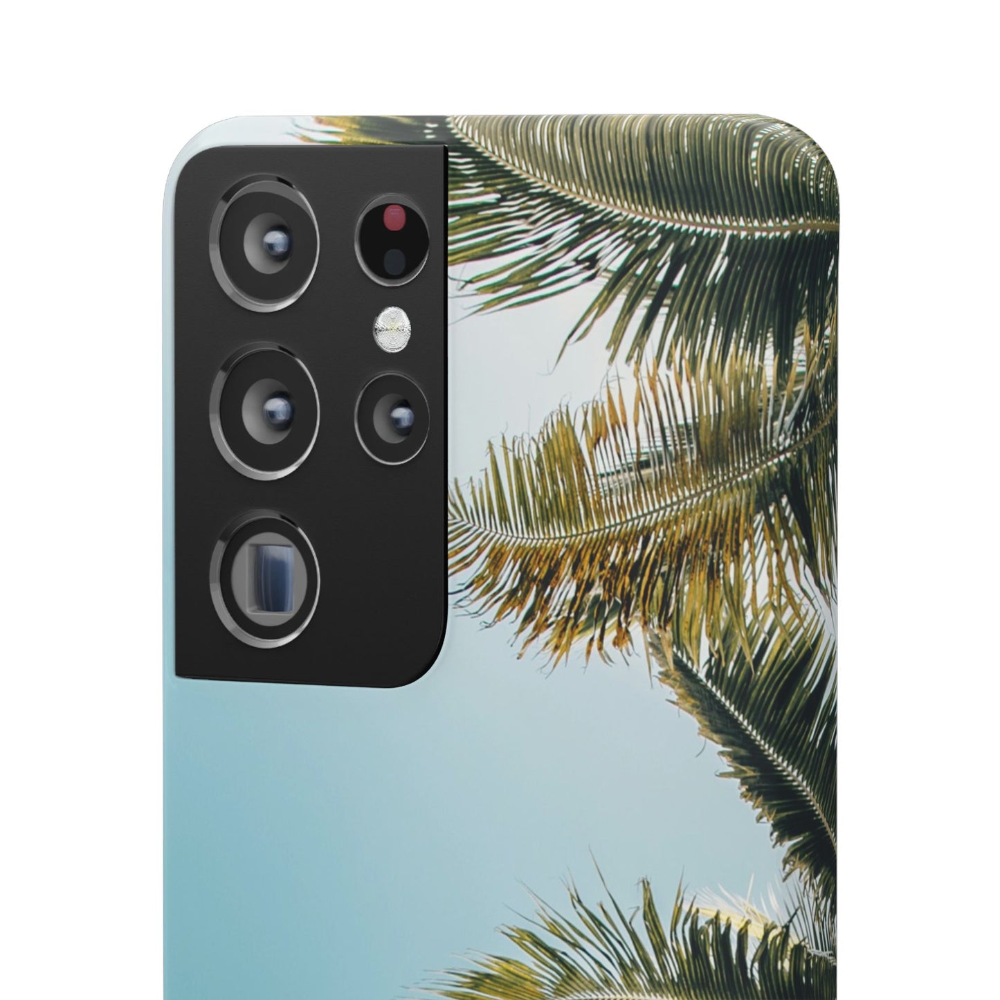 Tropical Palm Cajasol – Summer Vibes for Beach Lovers
