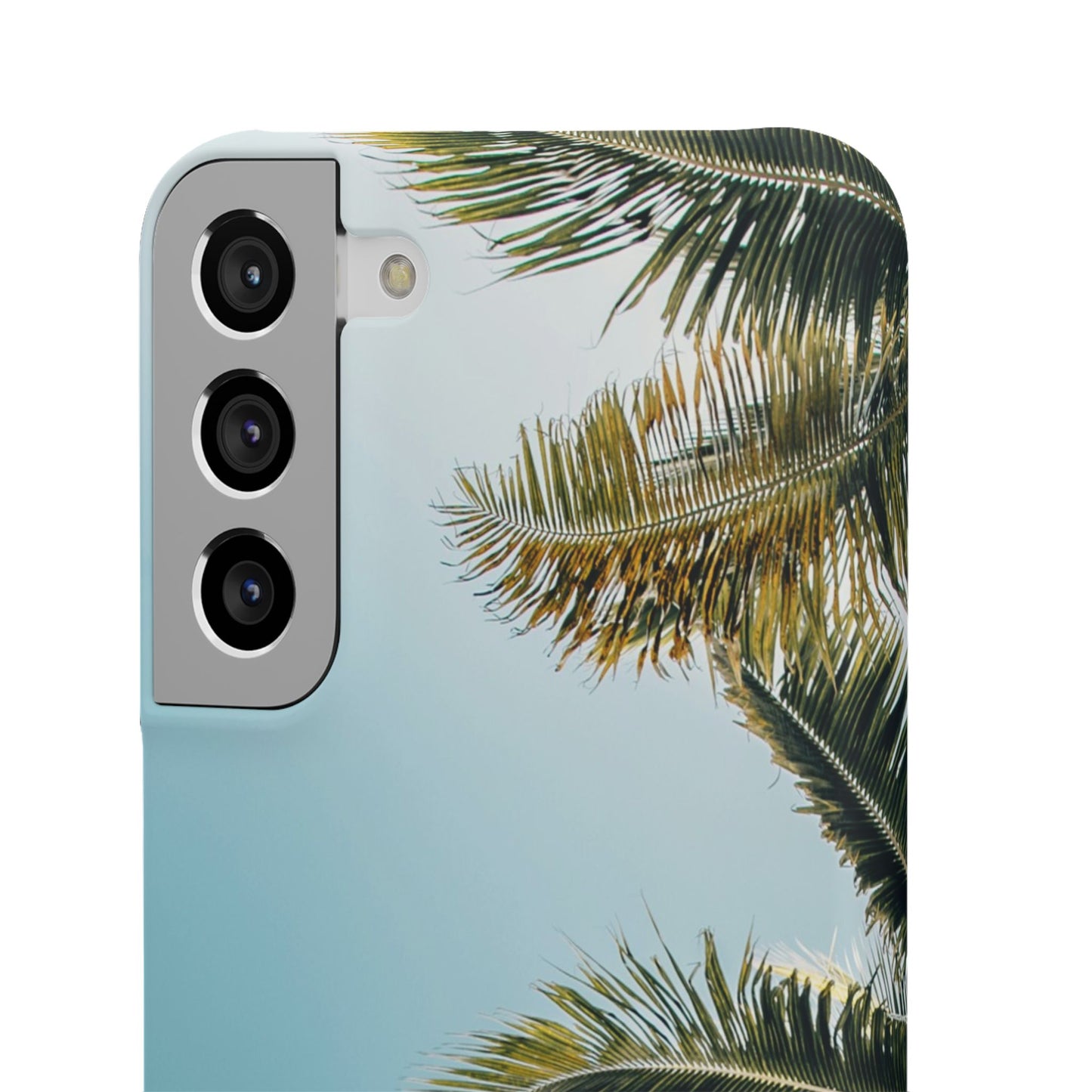 Tropical Palm Cajasol – Summer Vibes for Beach Lovers