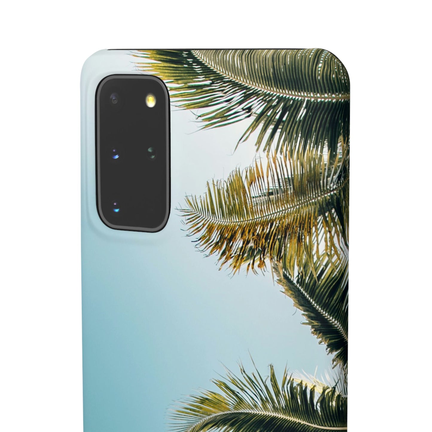 Tropical Palm Cajasol – Summer Vibes for Beach Lovers