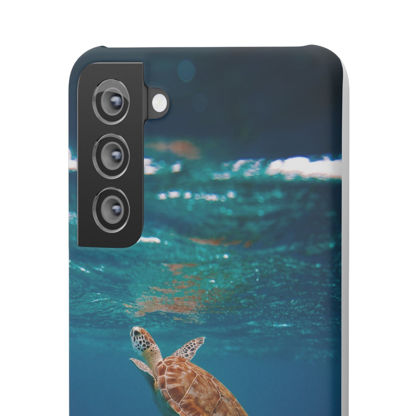 Sea Turtle Cajasol - Perfect for Beach Lovers