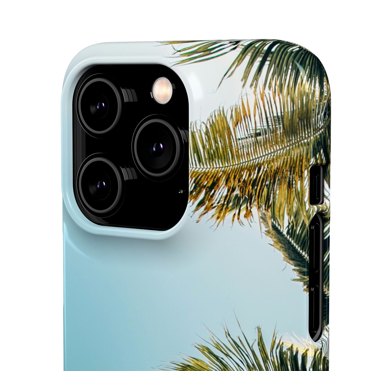 Tropical Palm Cajasol – Summer Vibes for Beach Lovers