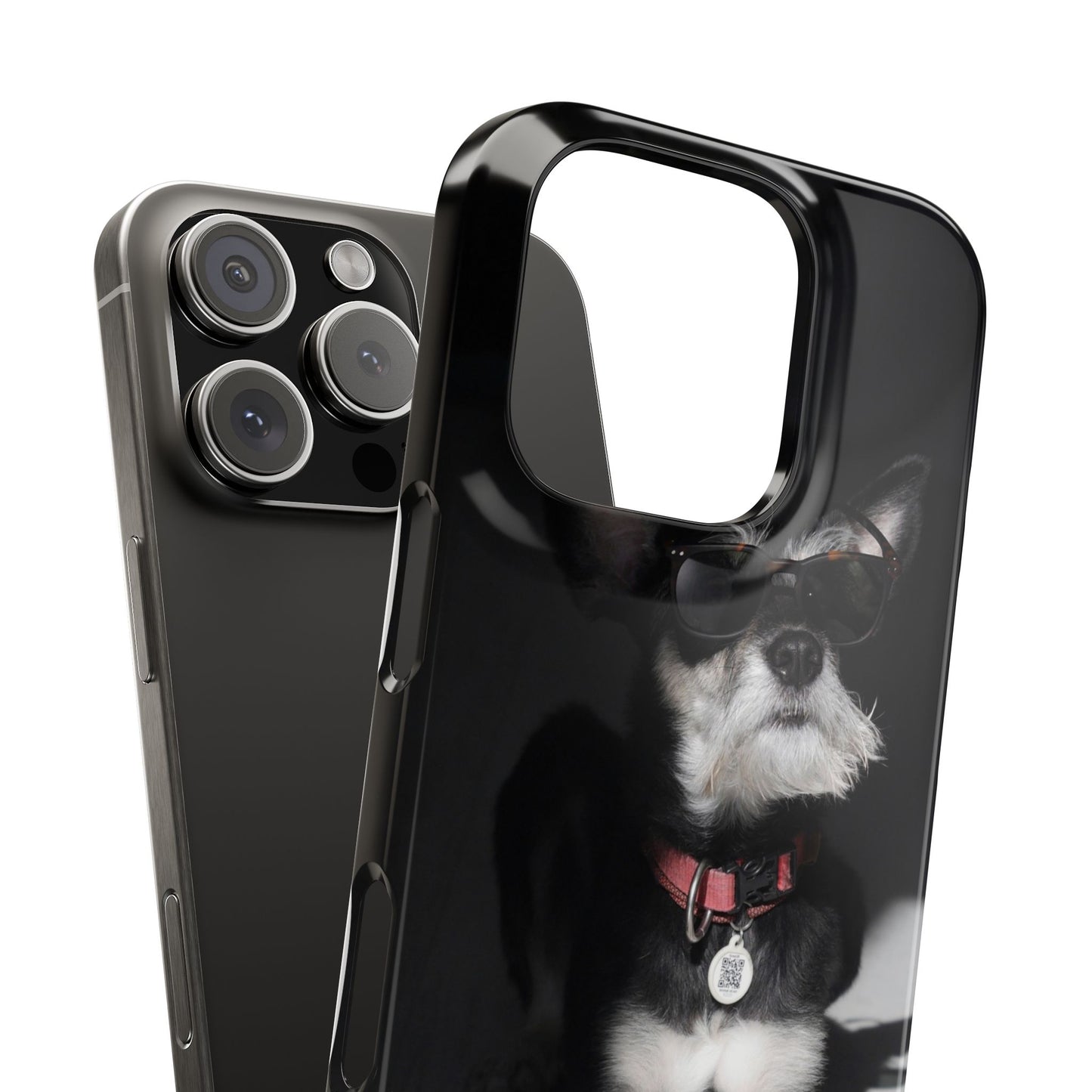 Cool Dog Cajasol - Stylish Pet