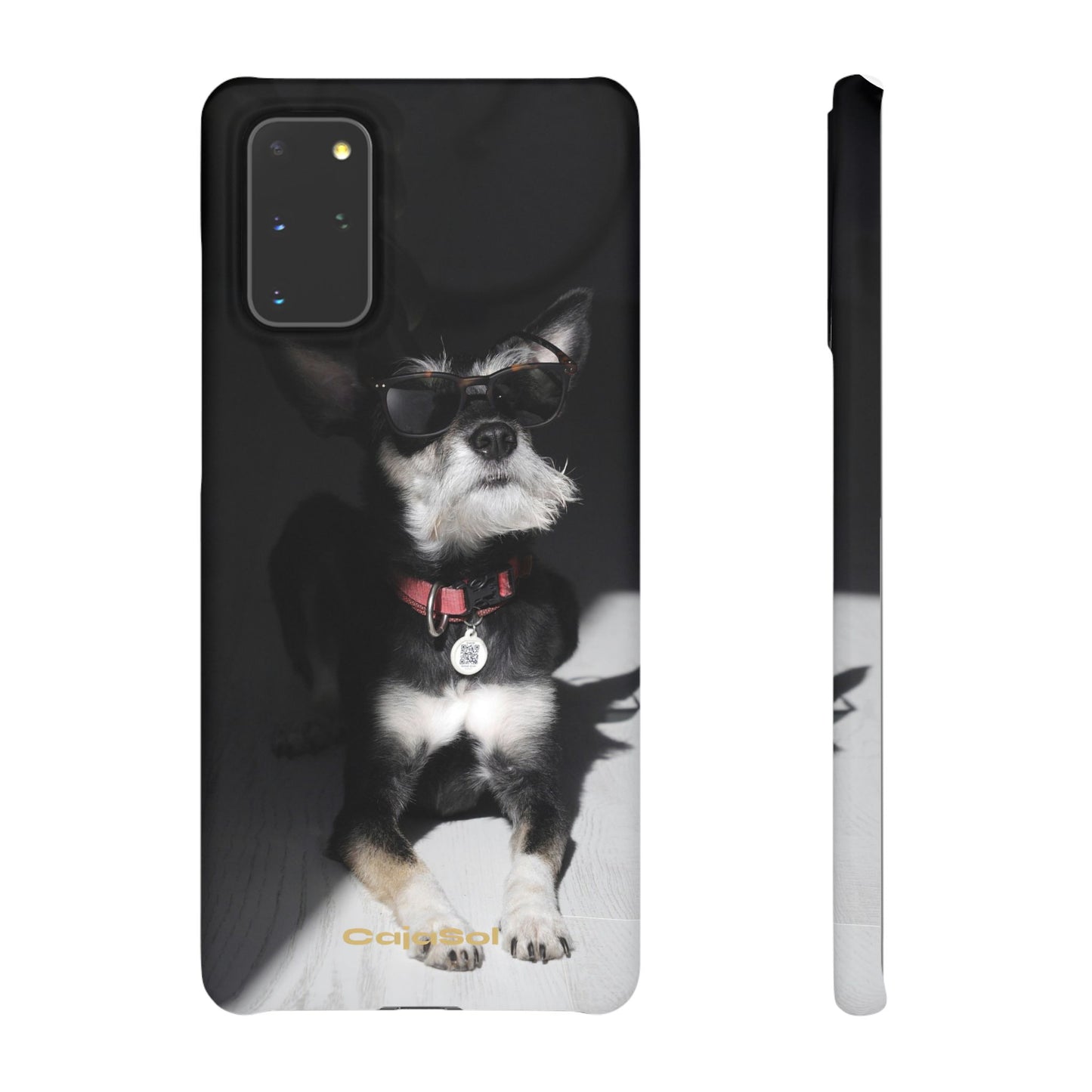 Cool Dog Cajasol - Stylish Pet