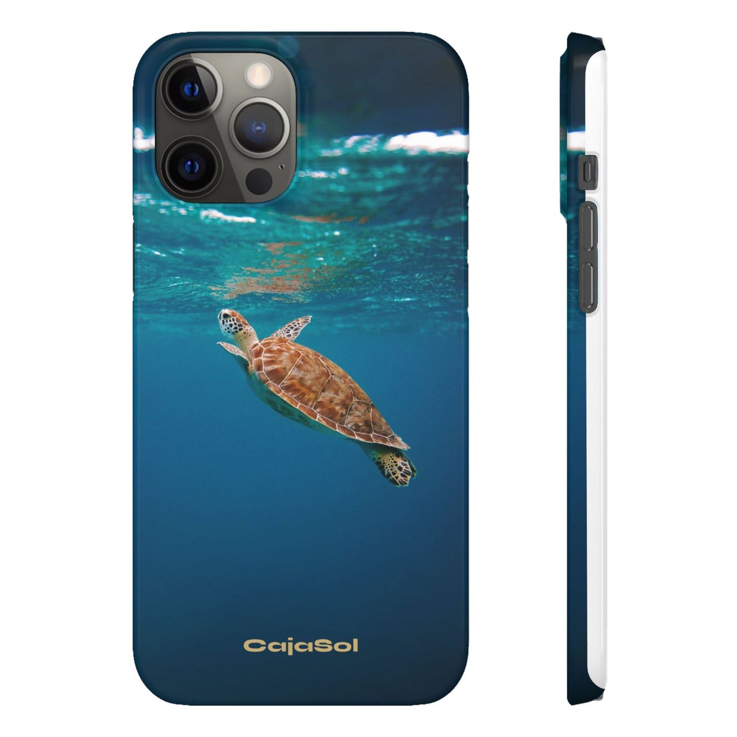 Sea Turtle Cajasol - Perfect for Beach Lovers