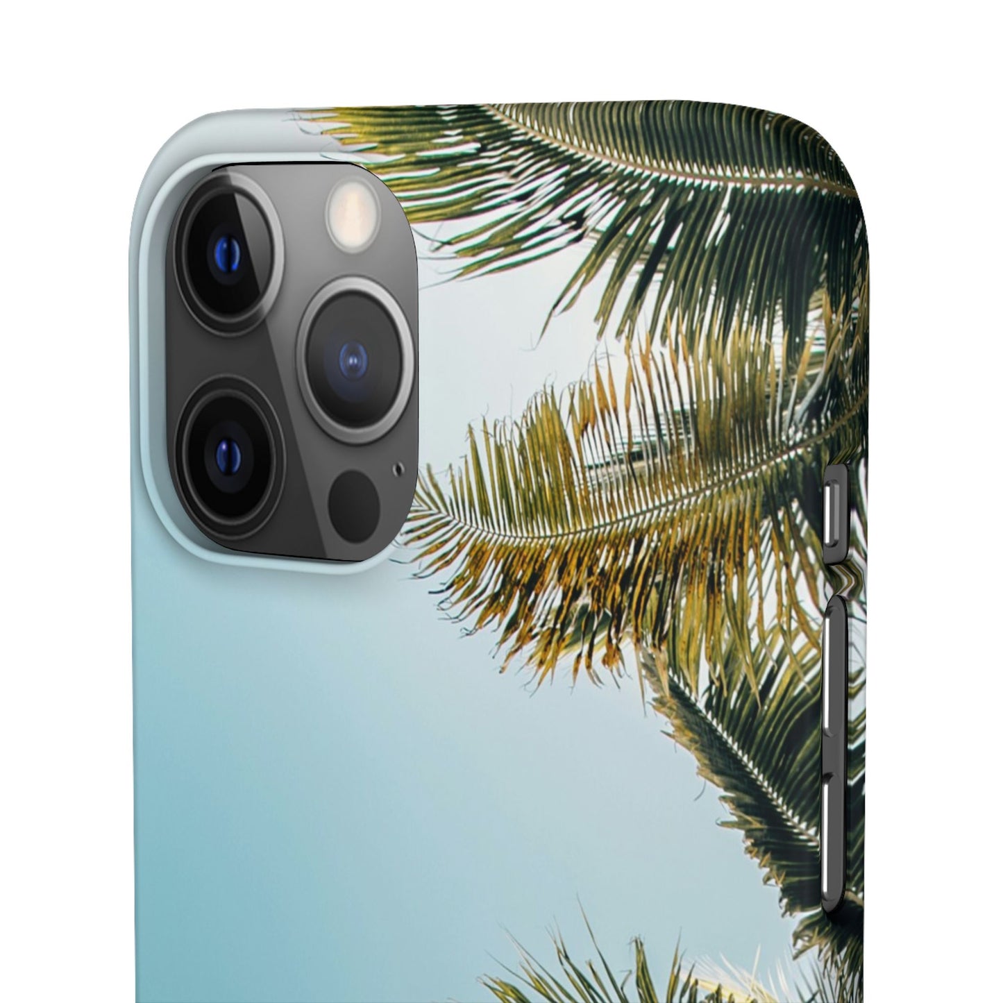 Tropical Palm Cajasol – Summer Vibes for Beach Lovers