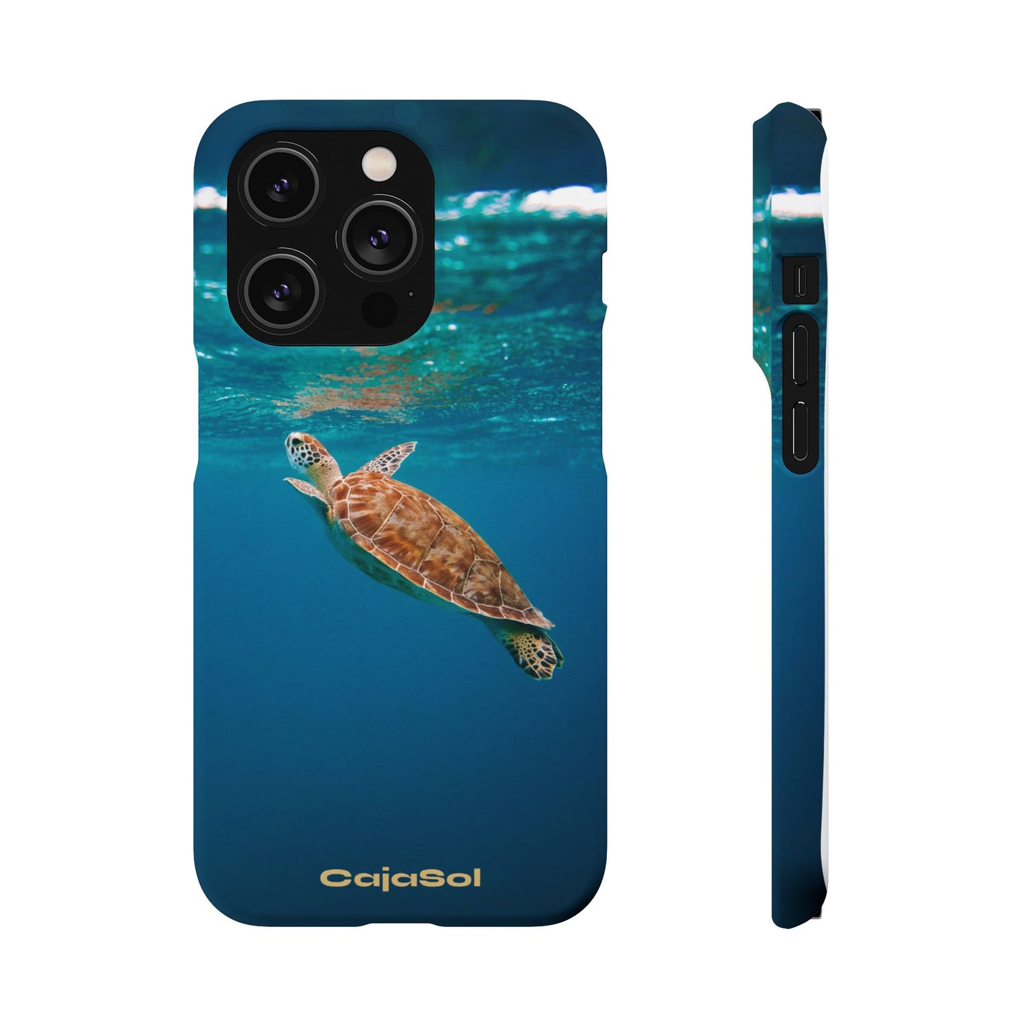 Sea Turtle Cajasol - Perfect for Beach Lovers
