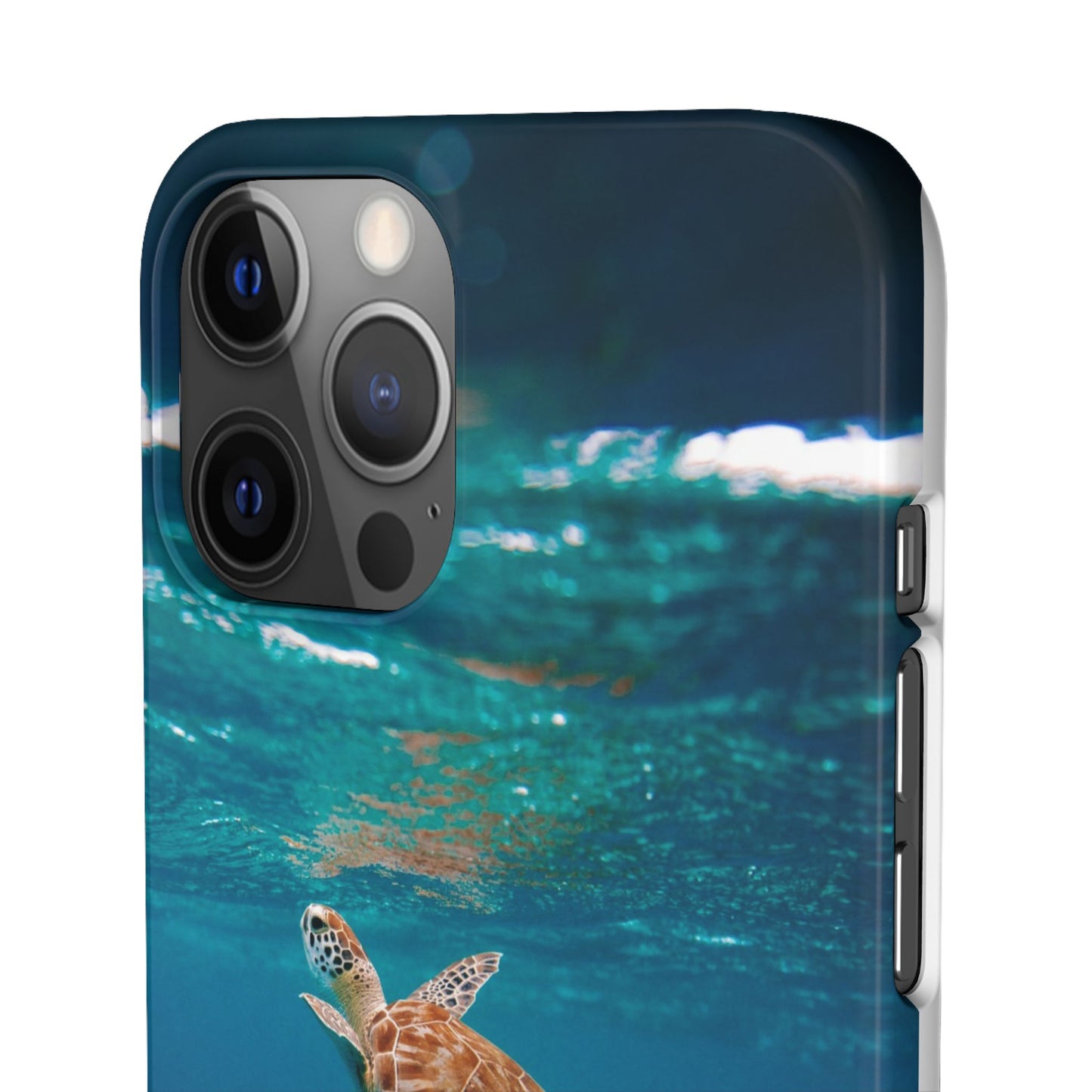 Sea Turtle Cajasol - Perfect for Beach Lovers