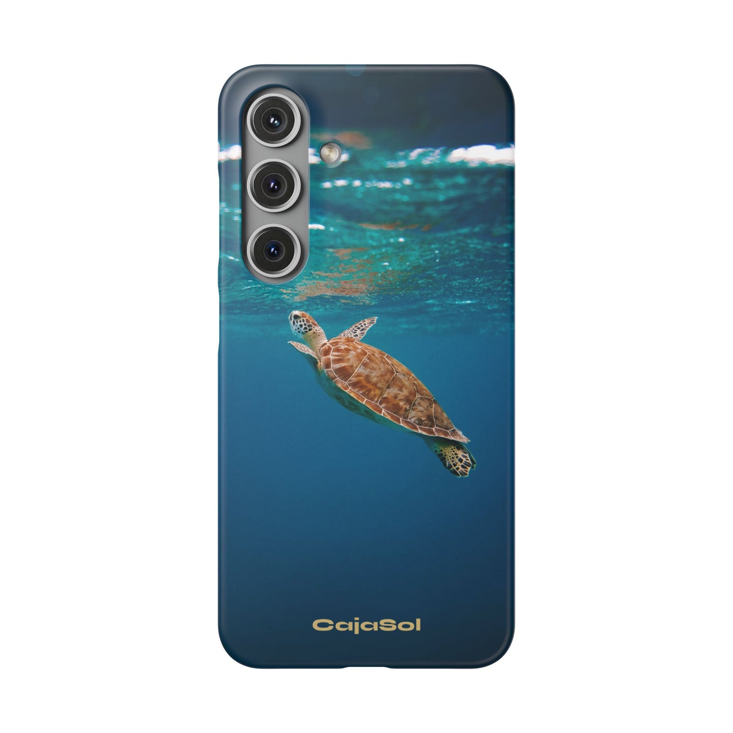 Sea Turtle Cajasol - Perfect for Beach Lovers