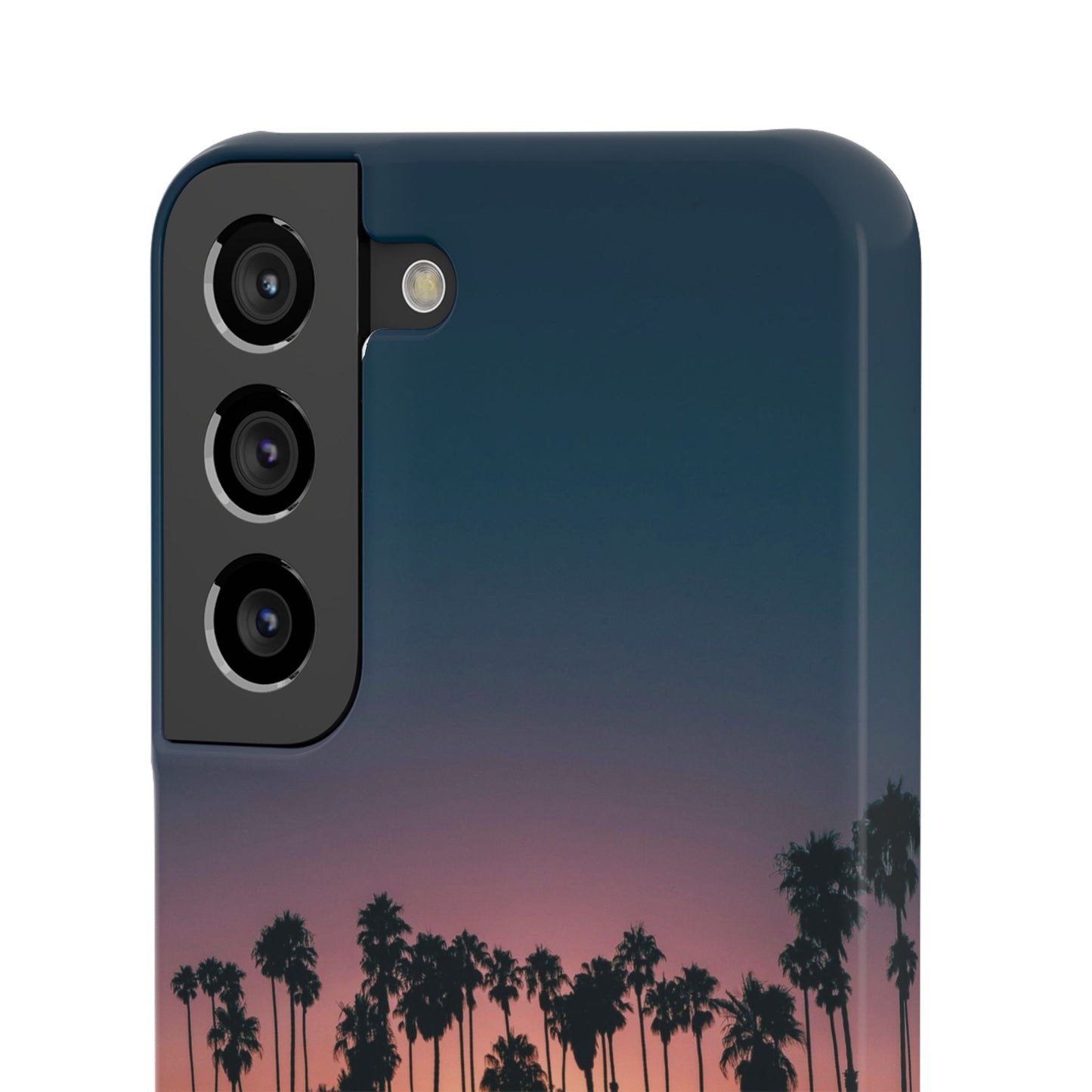 Tropical Sunset Cajasol - Vibrant Palm Tree