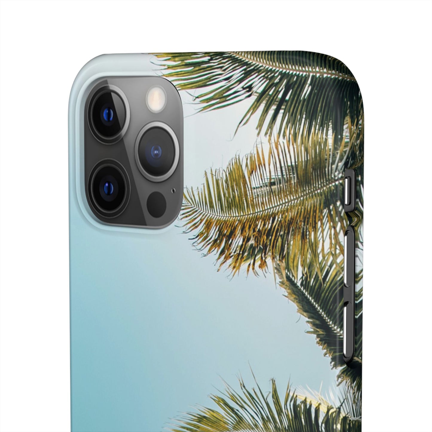 Tropical Palm Cajasol – Summer Vibes for Beach Lovers