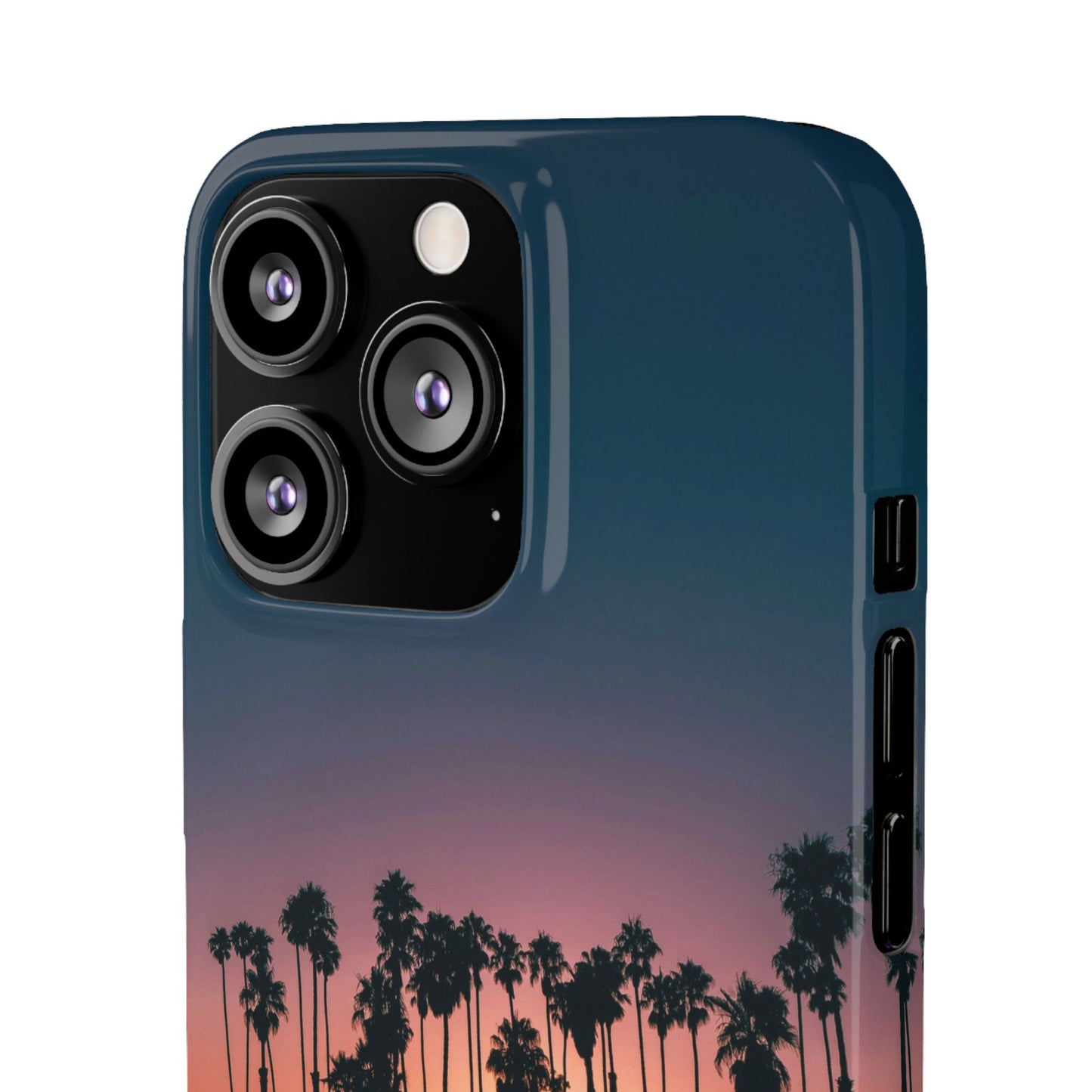 Tropical Sunset Cajasol - Vibrant Palm Tree