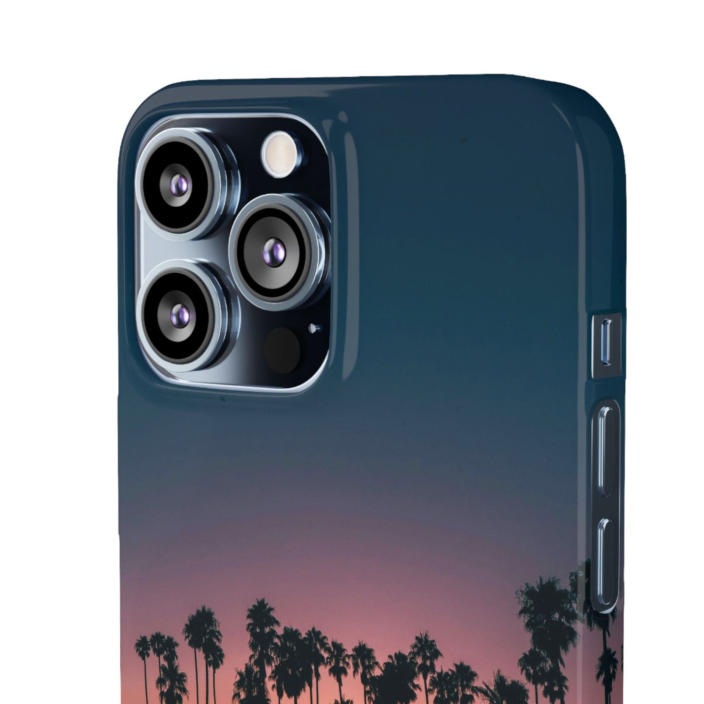 Tropical Sunset Cajasol - Vibrant Palm Tree