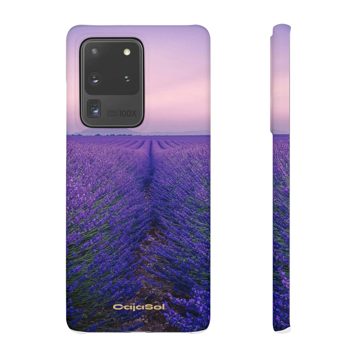 Lavender Fields Cajasol - A Floral Touch for Nature Lovers