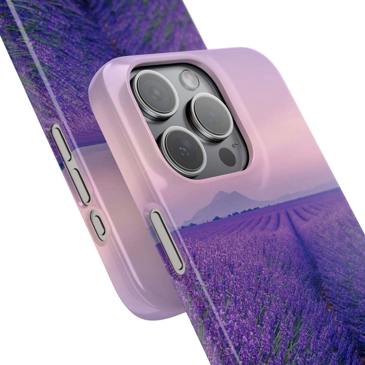 Lavender Fields Cajasol - A Floral Touch for Nature Lovers
