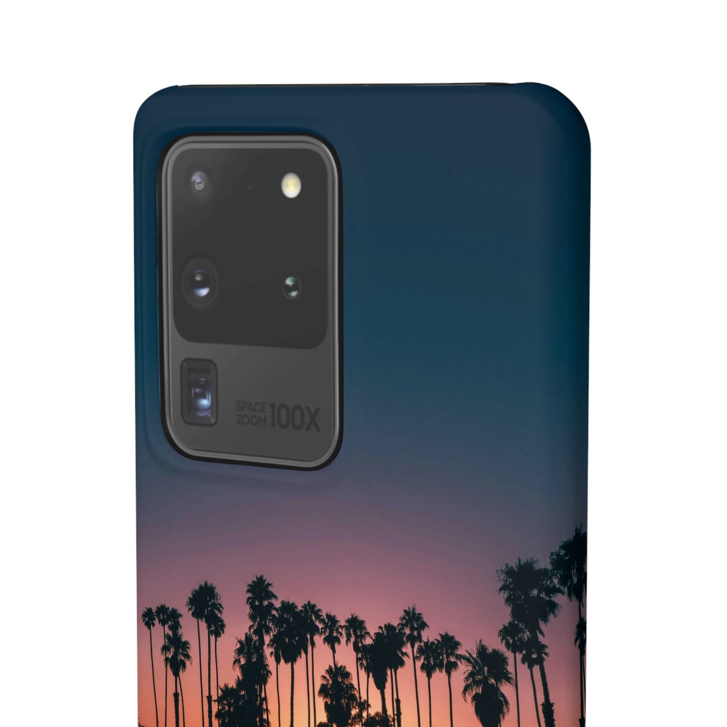 Tropical Sunset Cajasol - Vibrant Palm Tree