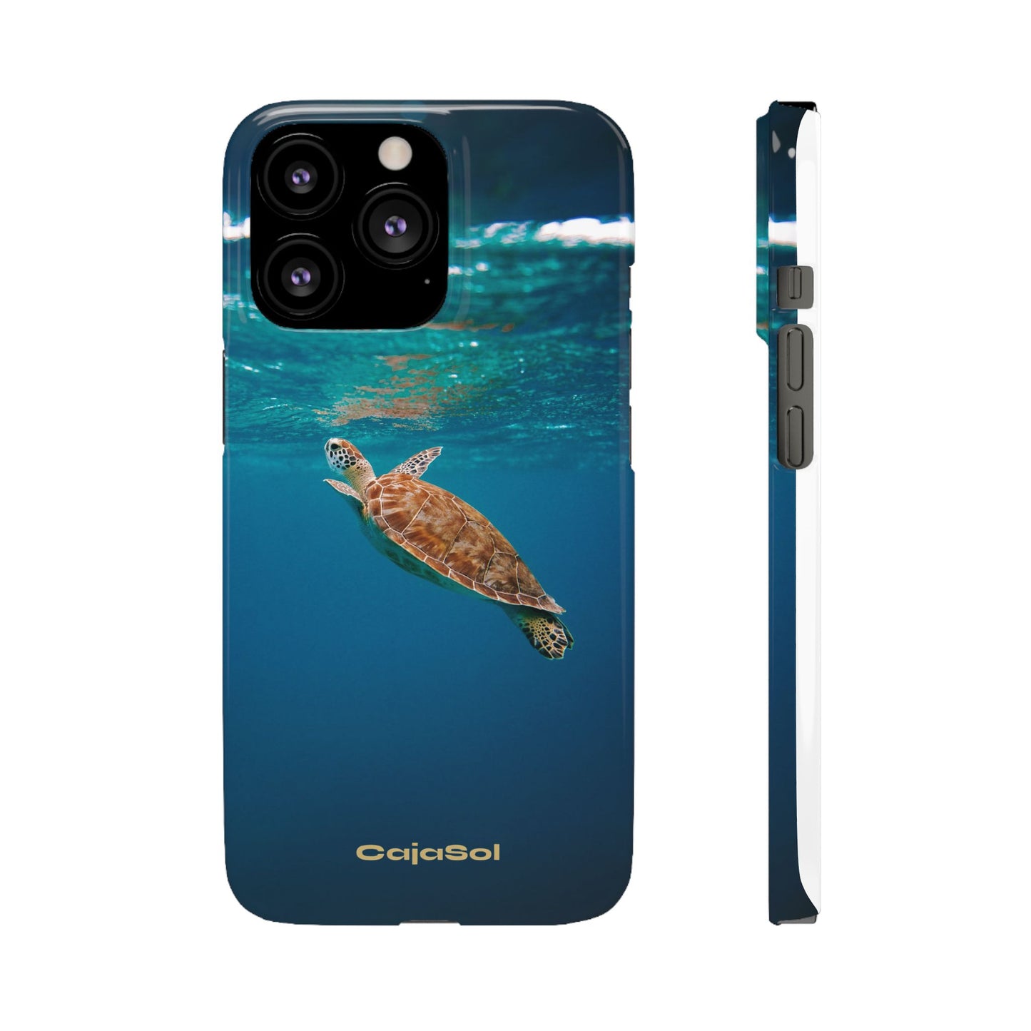Sea Turtle Cajasol - Perfect for Beach Lovers