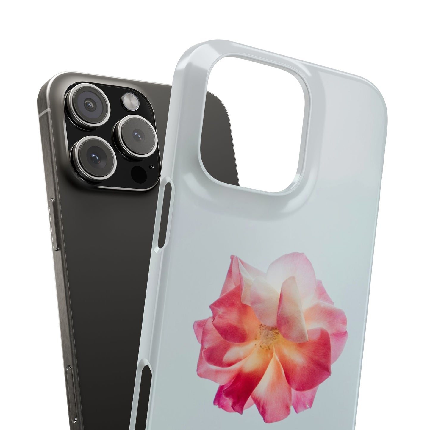 Floral Cajasol - Elegant Pink Flower