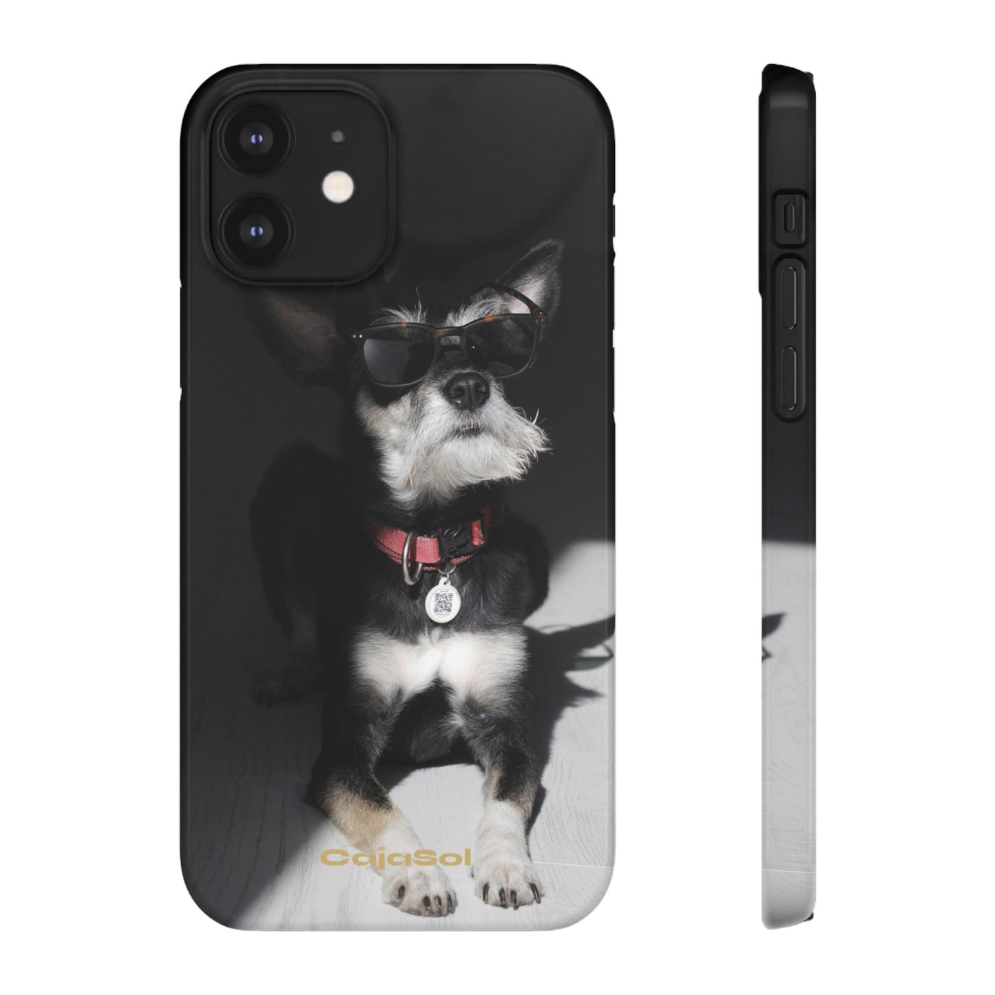 Cool Dog Cajasol - Stylish Pet