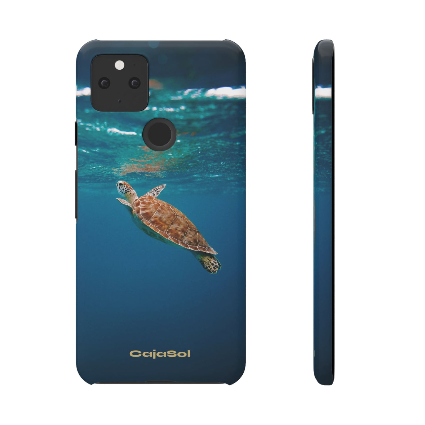 Sea Turtle Cajasol - Perfect for Beach Lovers