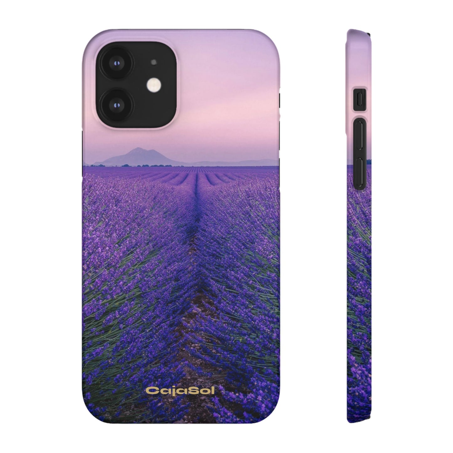 Lavender Fields Cajasol - A Floral Touch for Nature Lovers