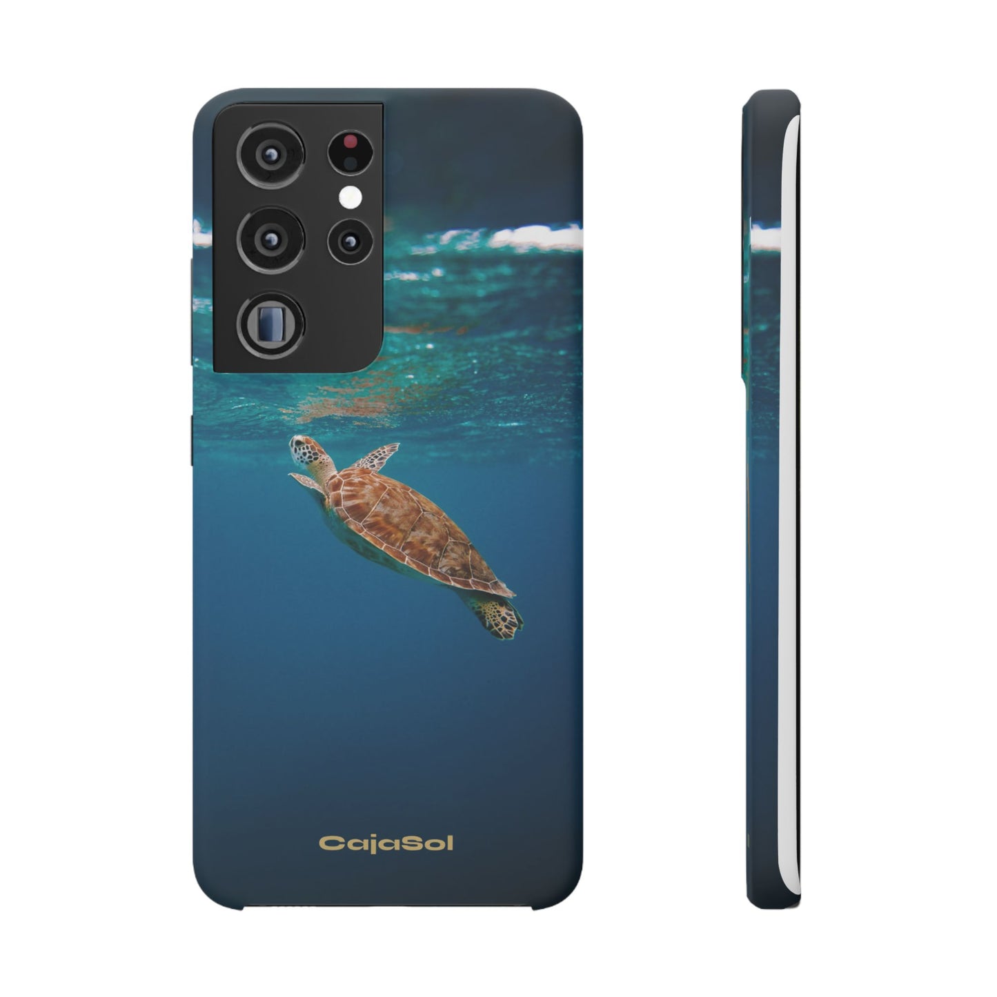 Sea Turtle Cajasol - Perfect for Beach Lovers