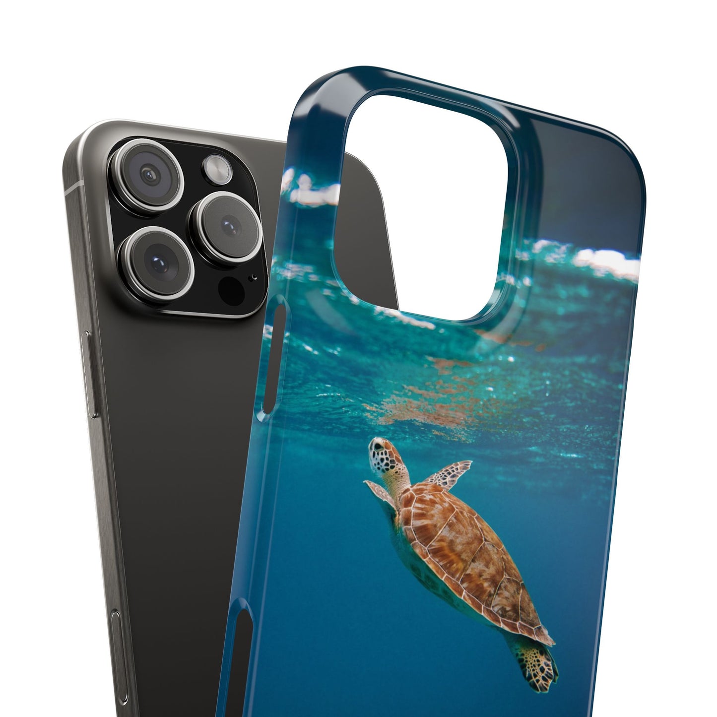 Sea Turtle Cajasol - Perfect for Beach Lovers