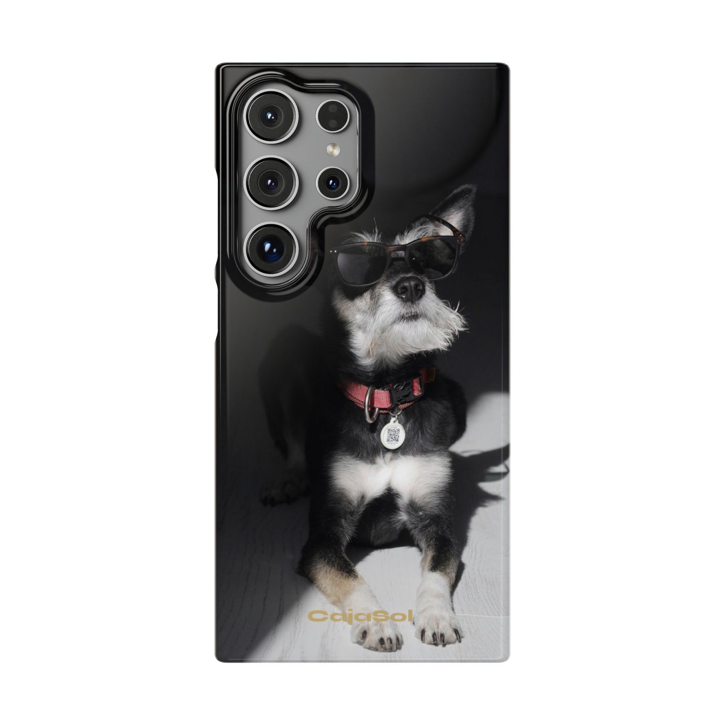 Cool Dog Cajasol - Stylish Pet