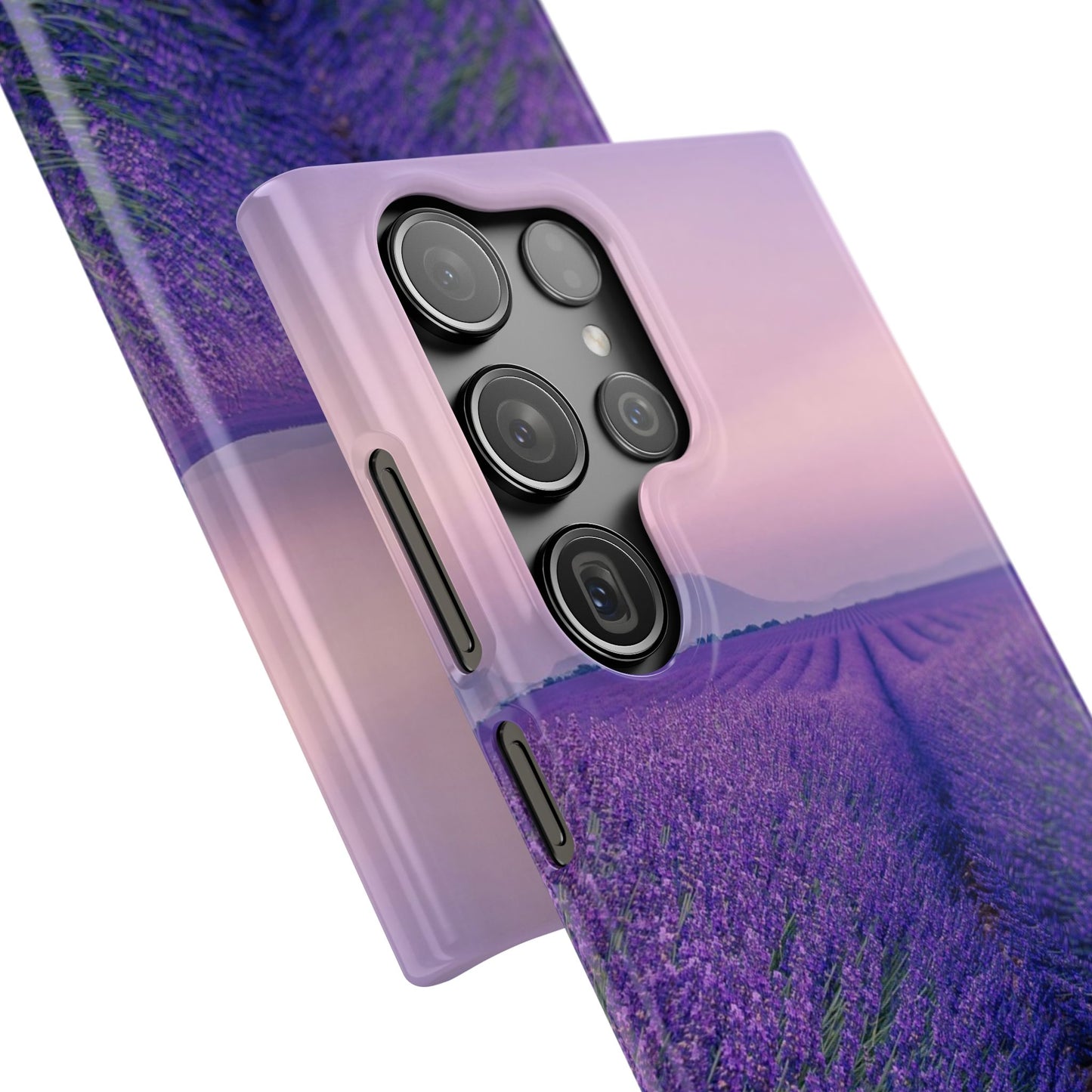Lavender Fields Cajasol - A Floral Touch for Nature Lovers