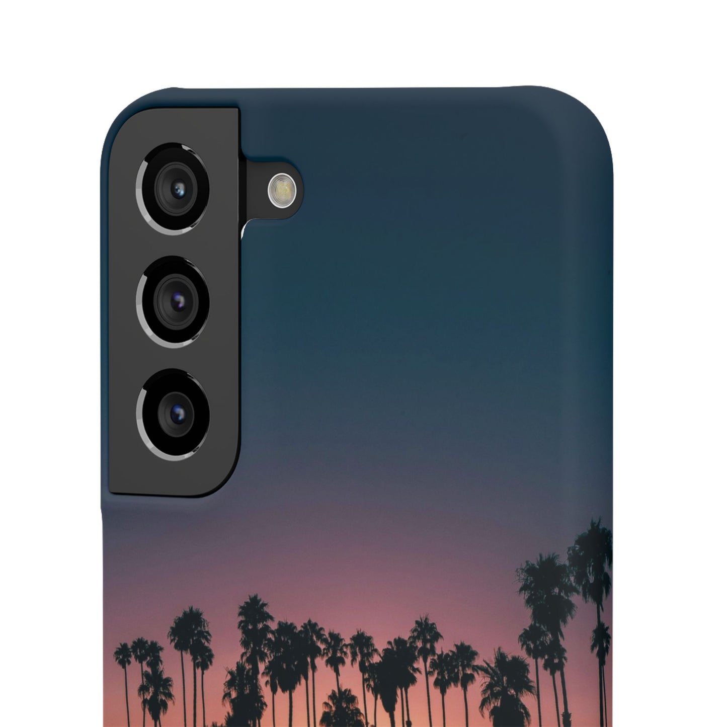 Tropical Sunset Cajasol - Vibrant Palm Tree